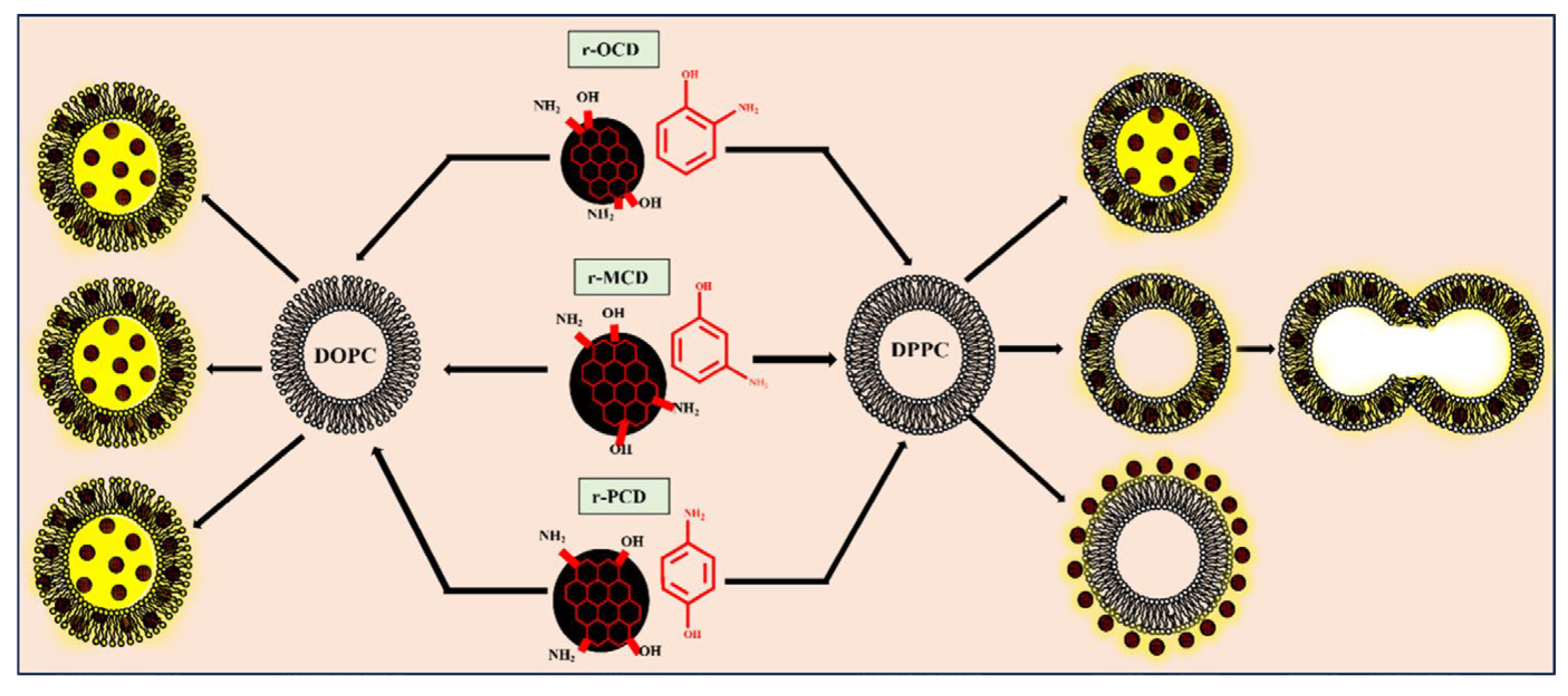 Preprints 189493 g009