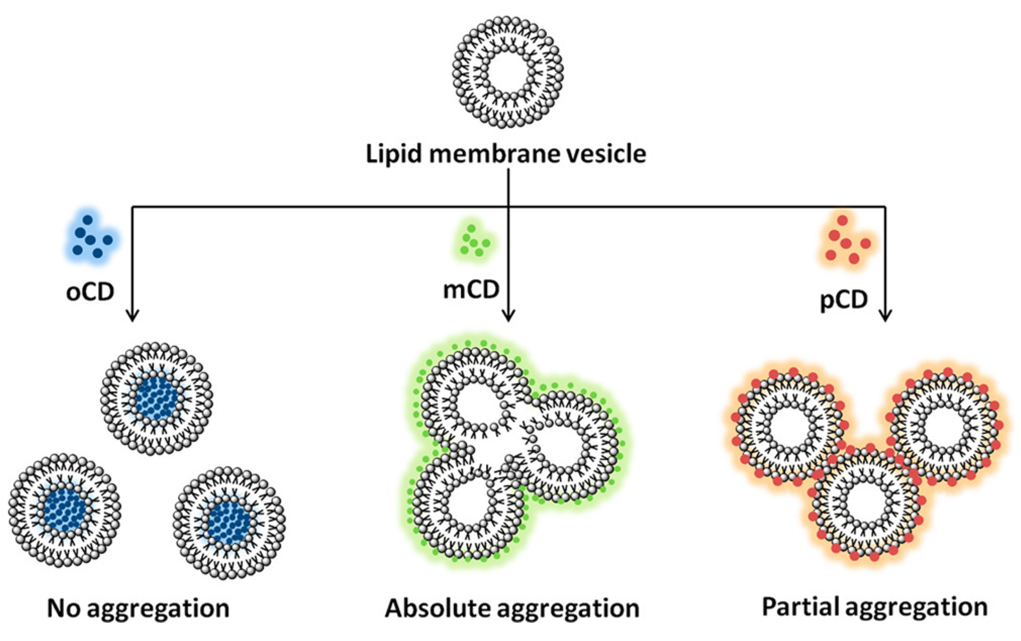 Preprints 189493 g010