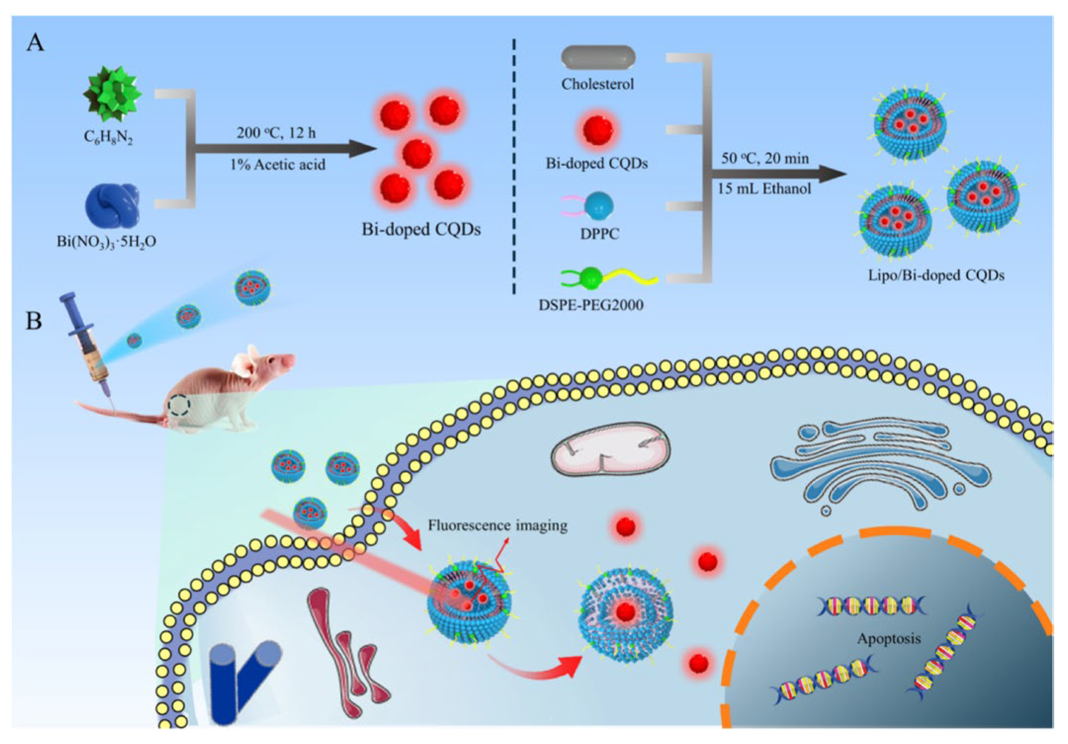 Preprints 189493 g011