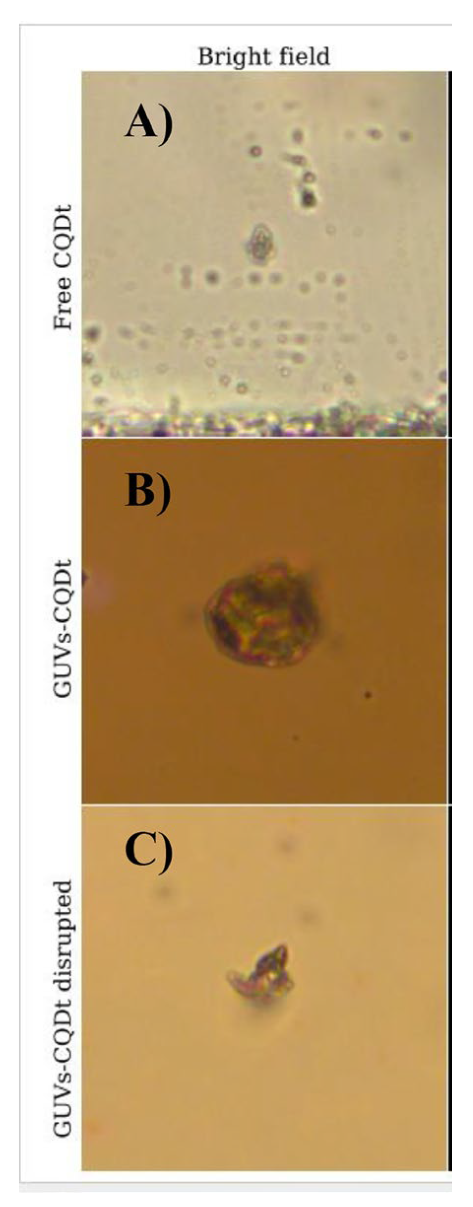 Preprints 189493 g013