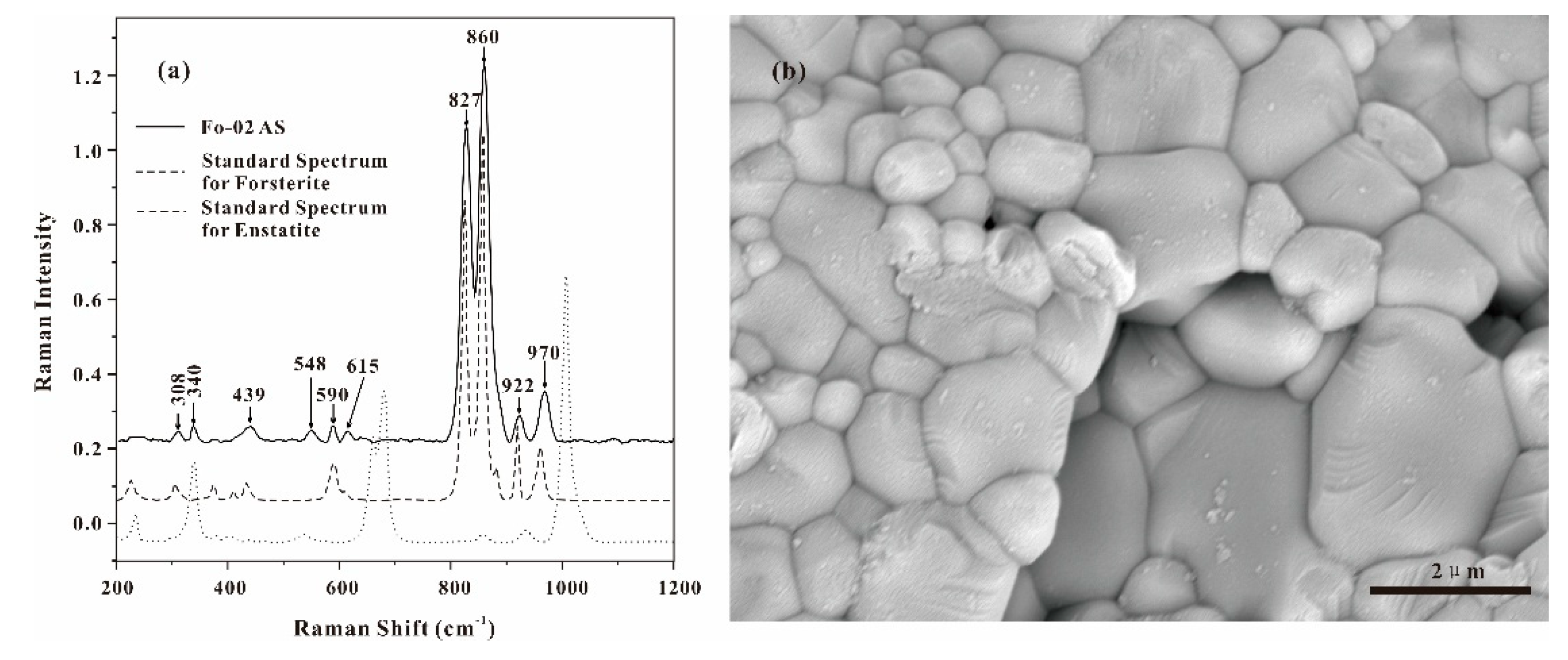Preprints 225159 g001