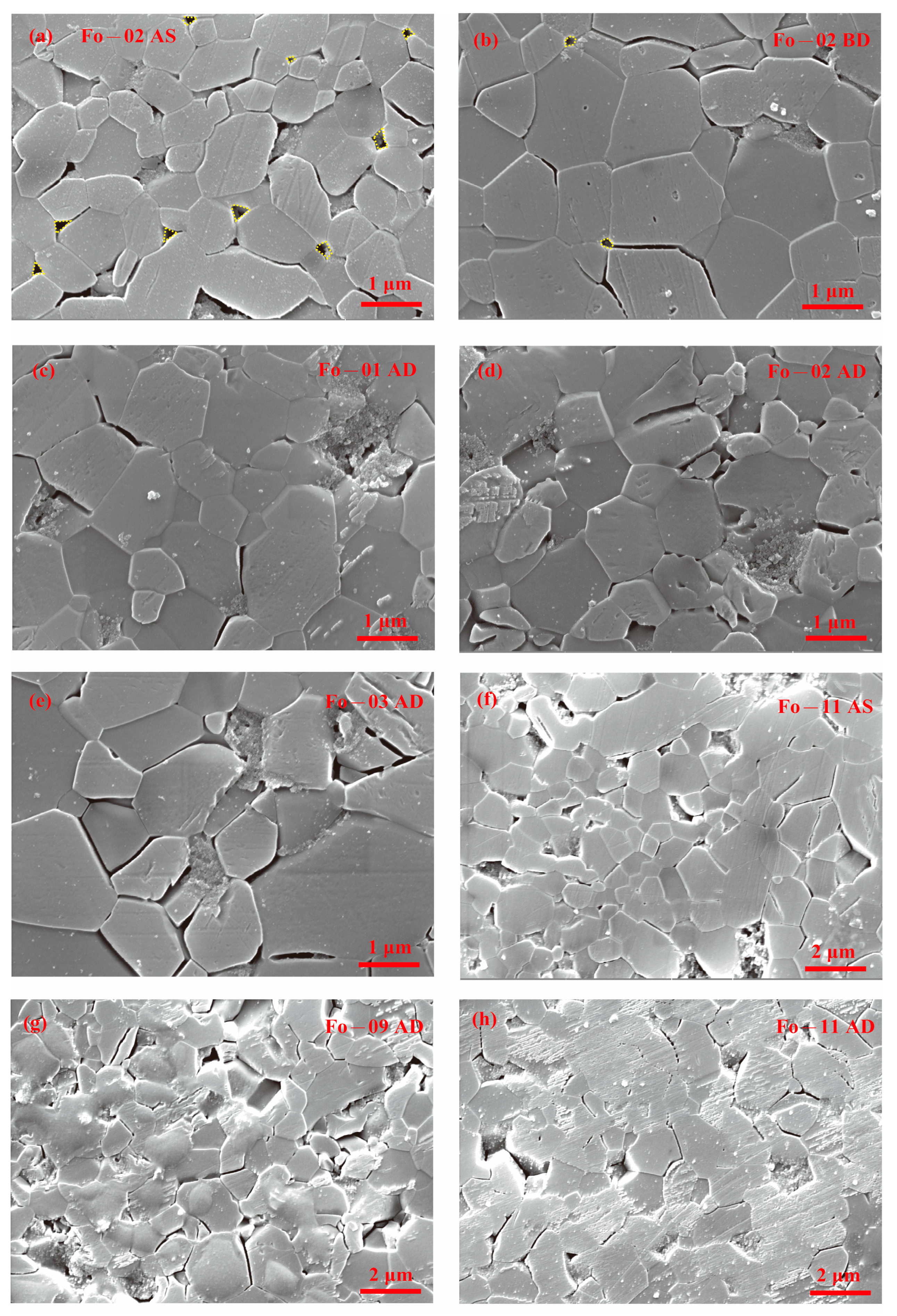Preprints 225159 g002