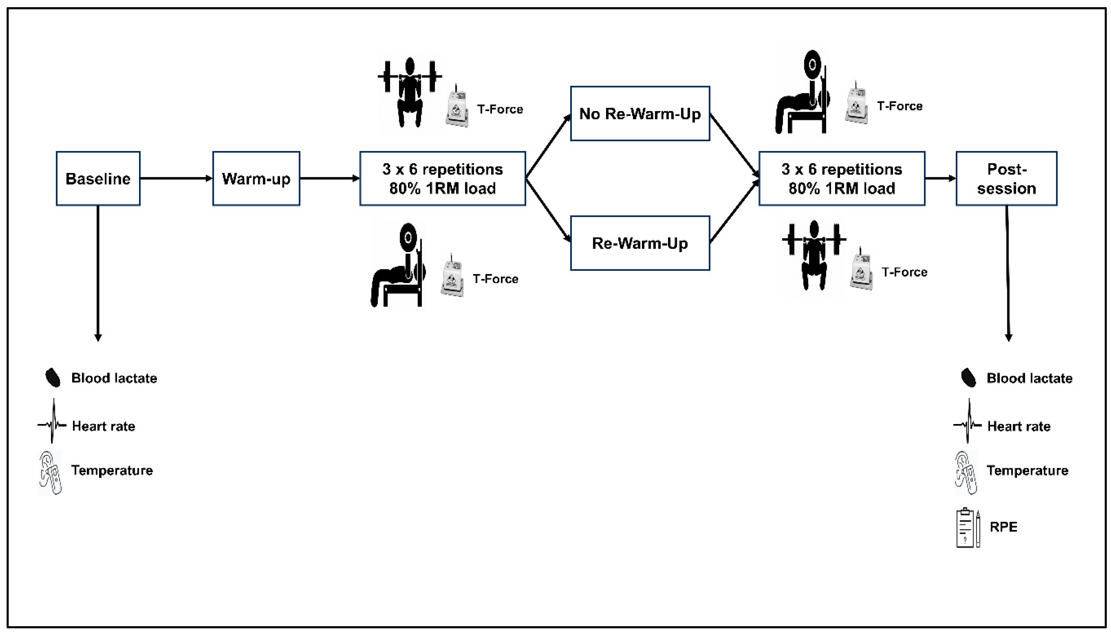 Preprints 154009 g001