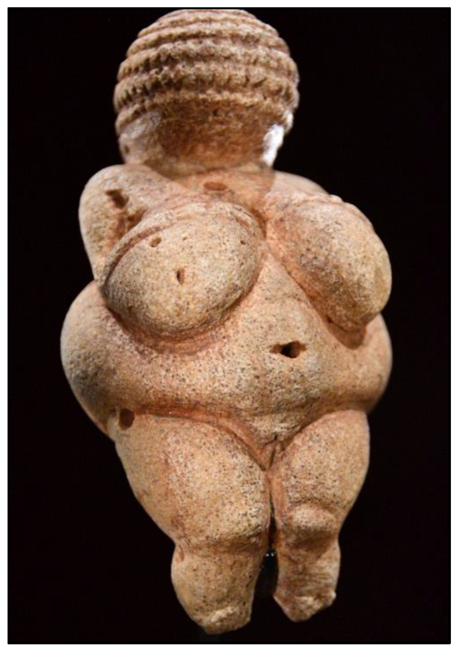 Preprints 159112 g002