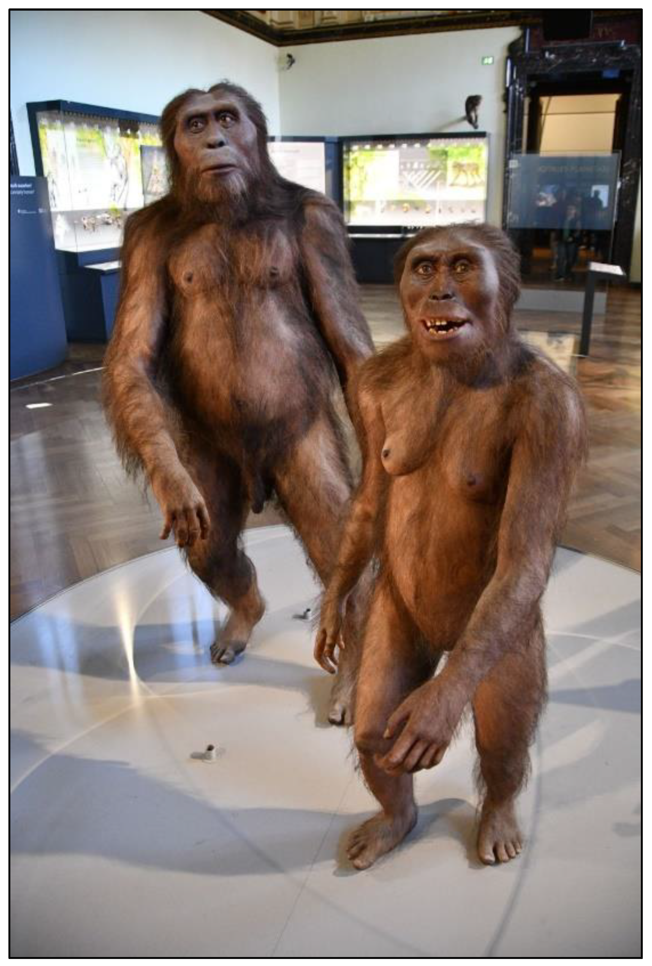 Preprints 159112 g003