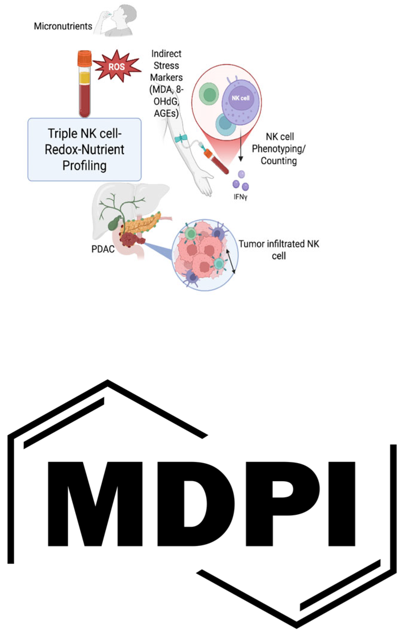 Preprints 180732 g001