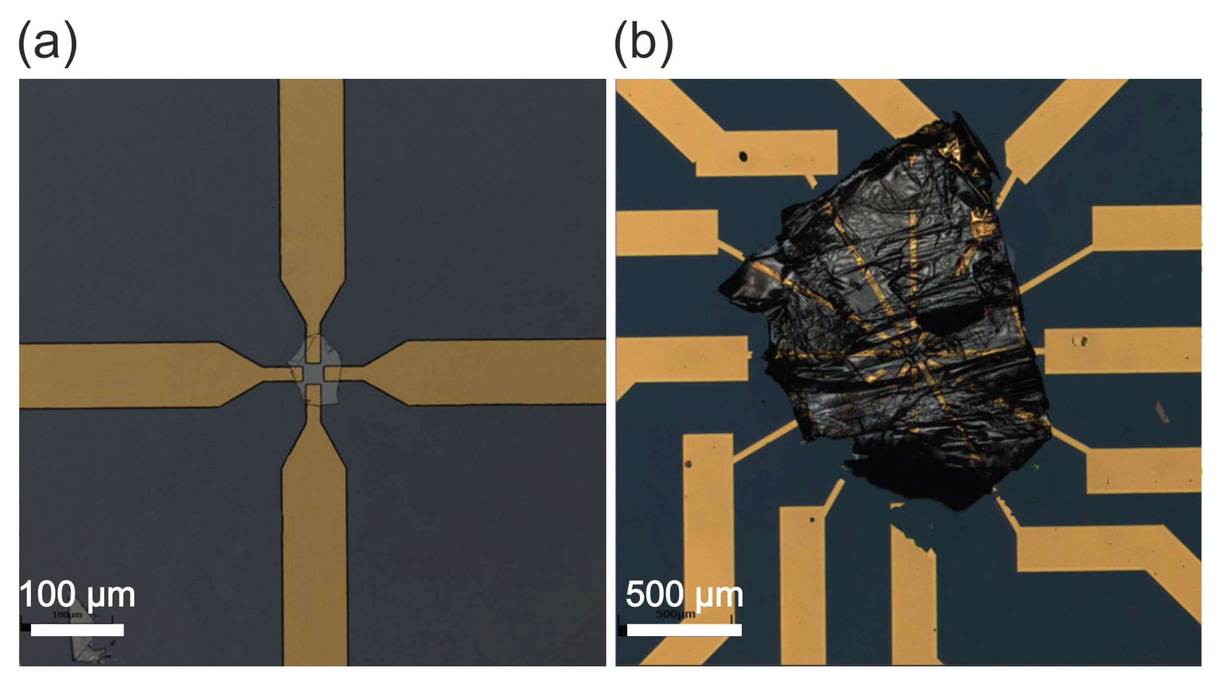 Preprints 170015 g002
