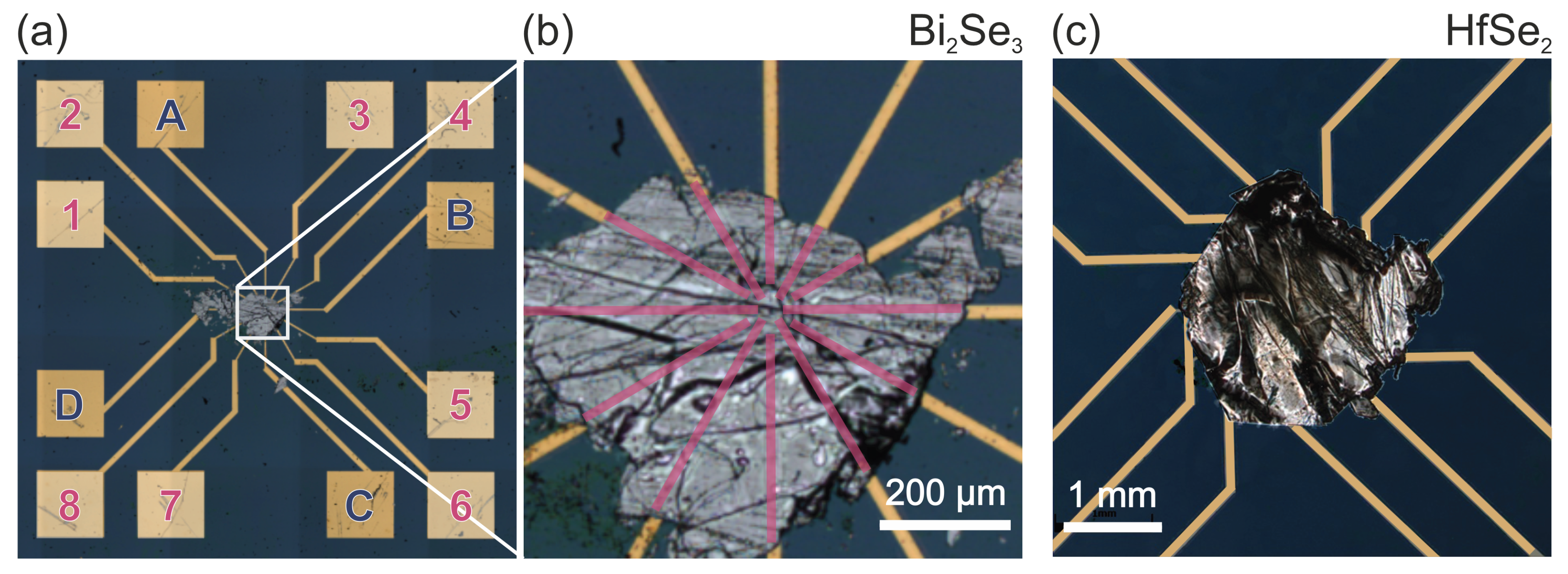 Preprints 170015 g004
