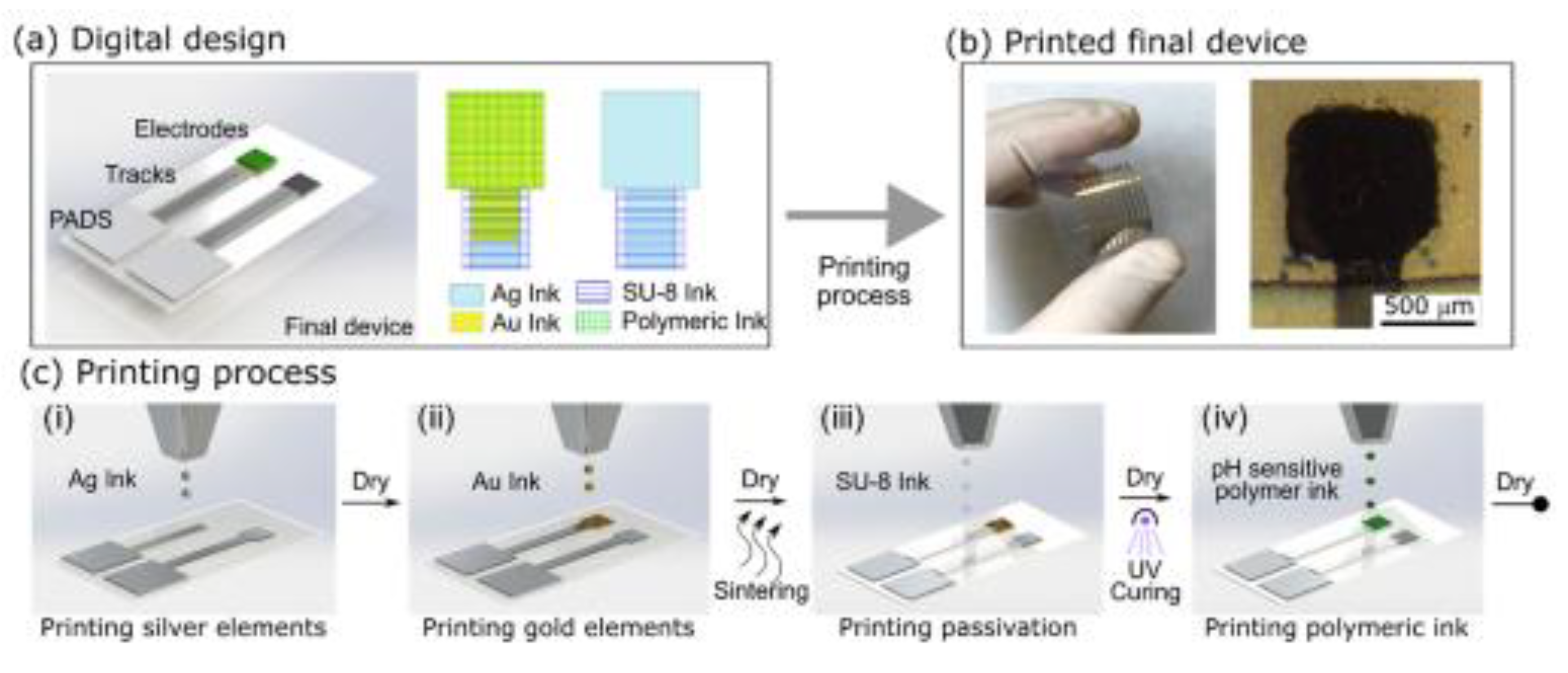 Preprints 80808 g006