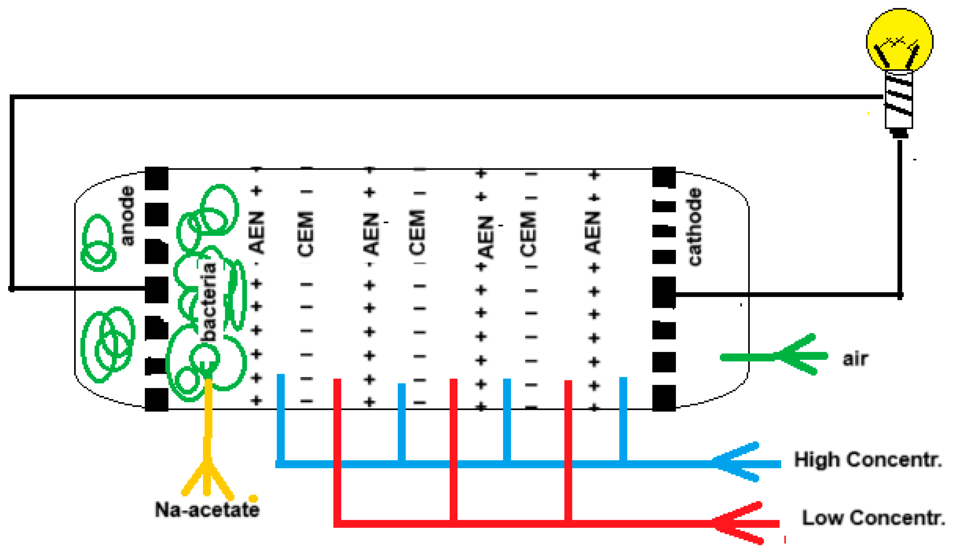 Preprints 145510 g003
