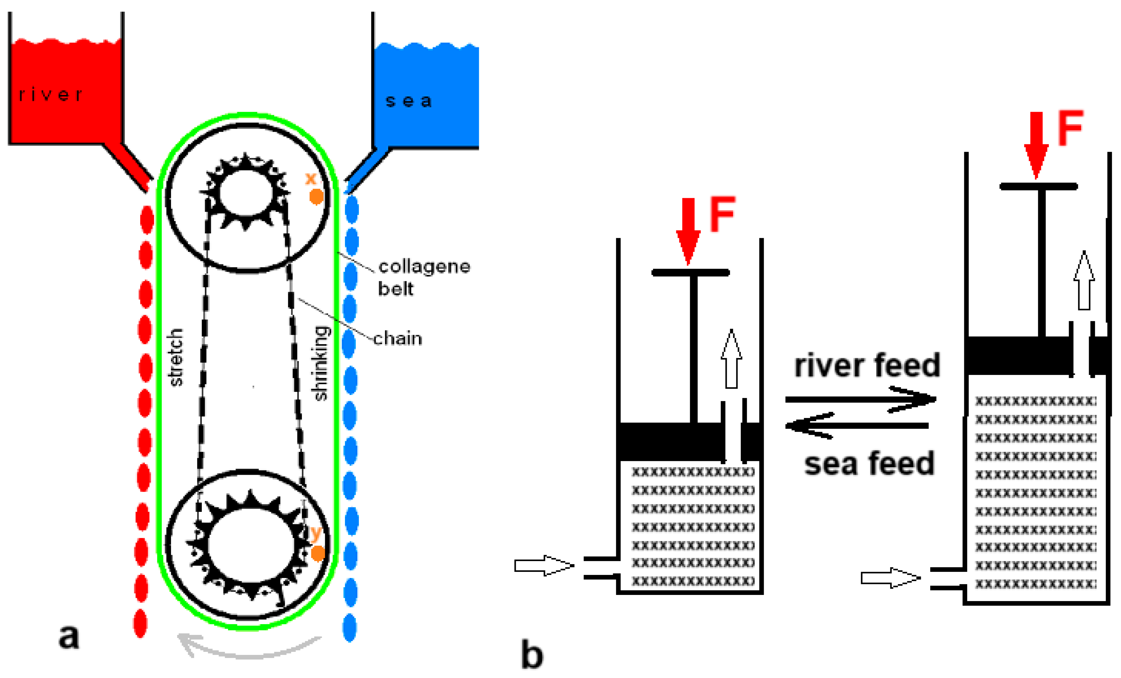 Preprints 145510 g005
