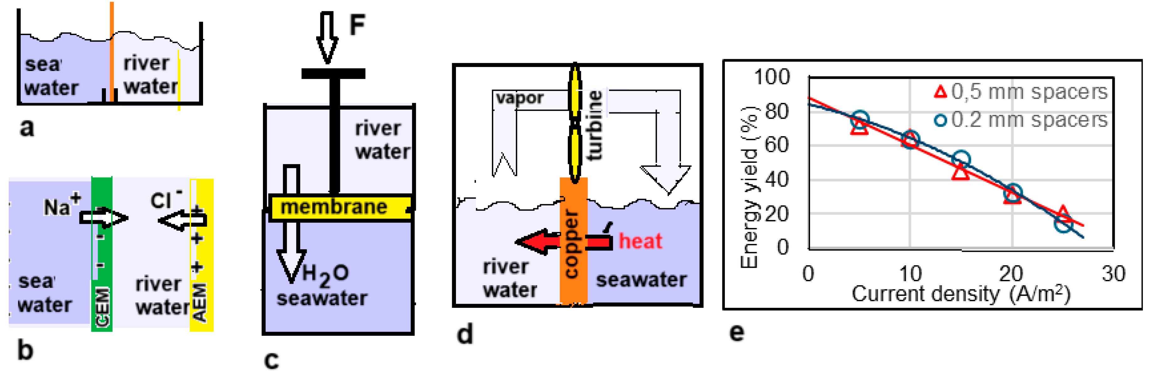 Preprints 145510 g006