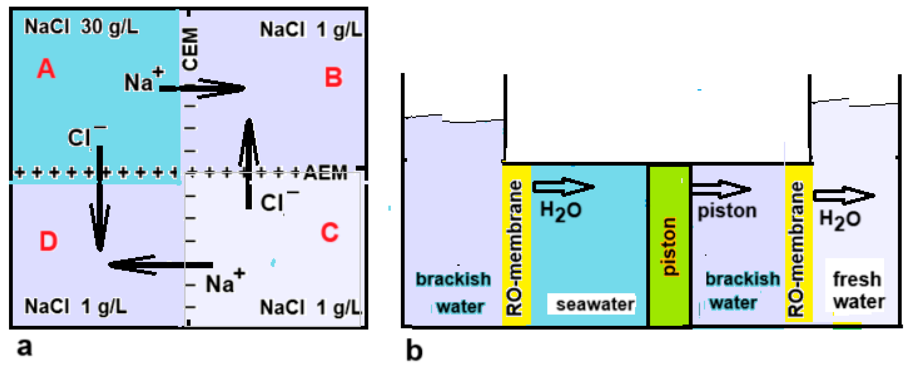 Preprints 145510 g012