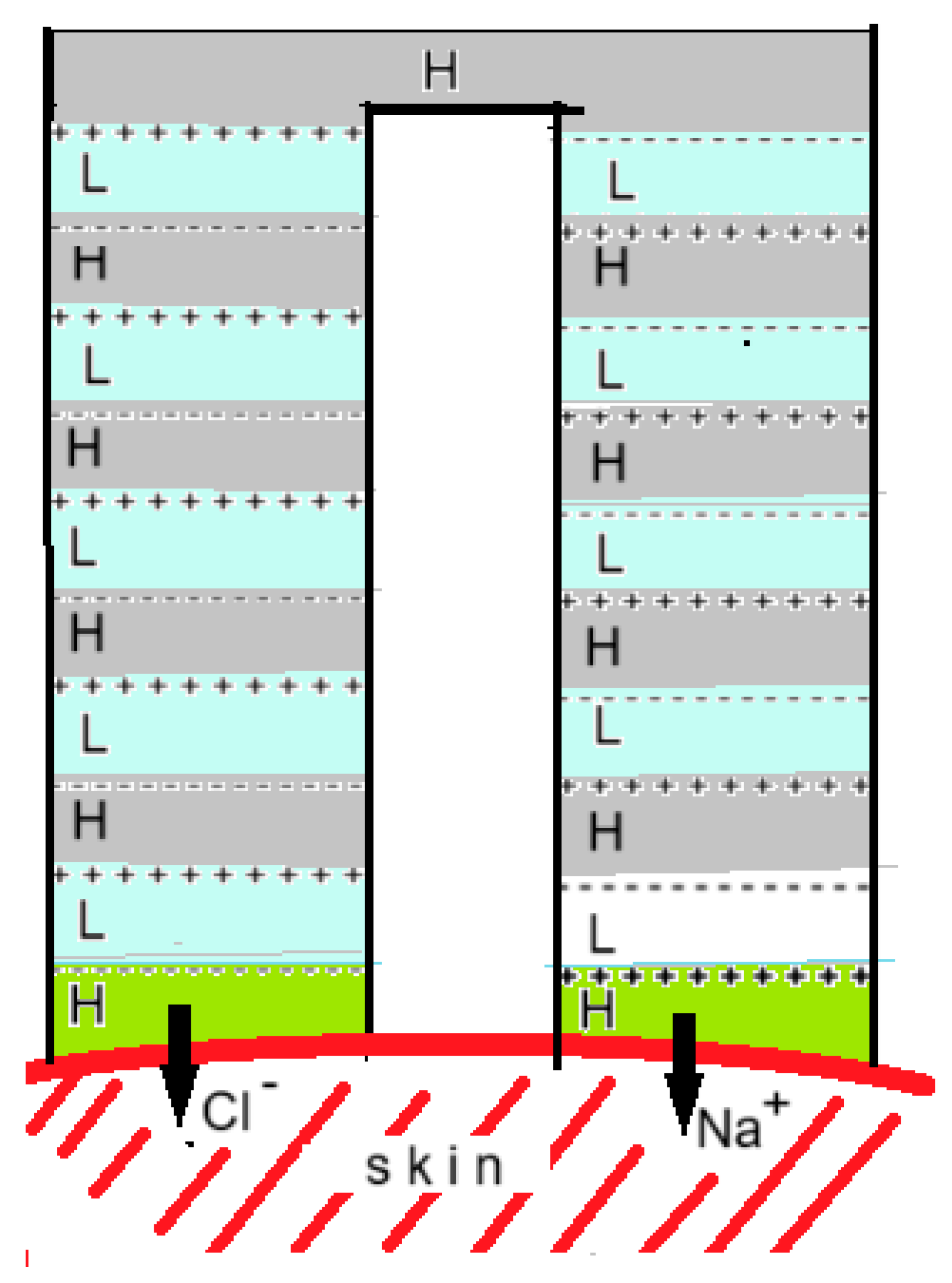 Preprints 145510 g016
