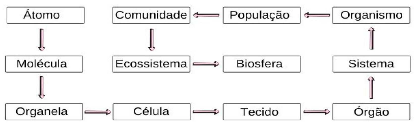 Preprints 147296 g005