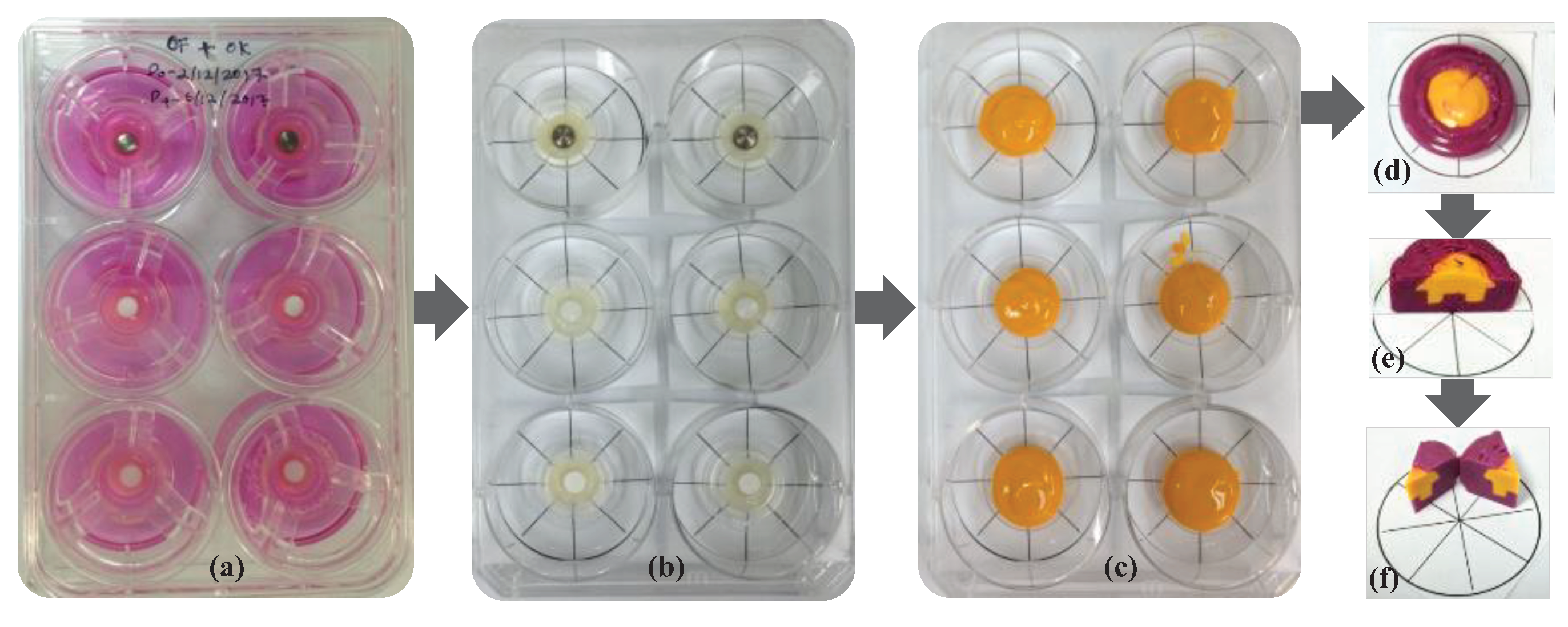 Preprints 78435 g001