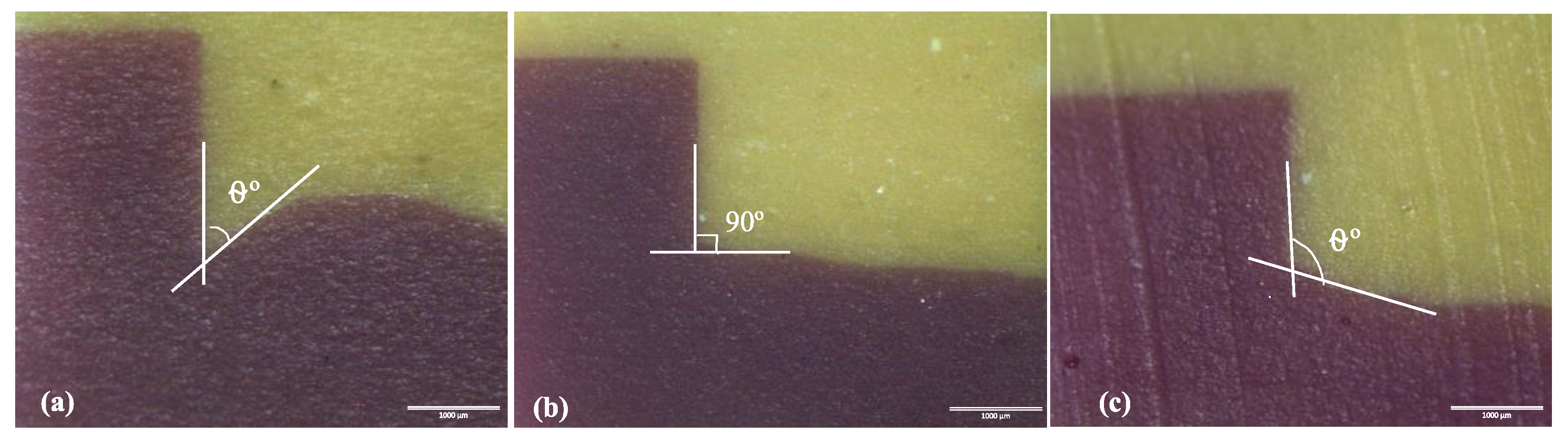Preprints 78435 g002