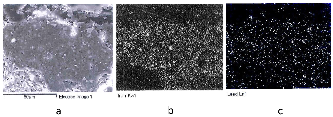 Preprints 229931 g010 Preprints 229931 g010
