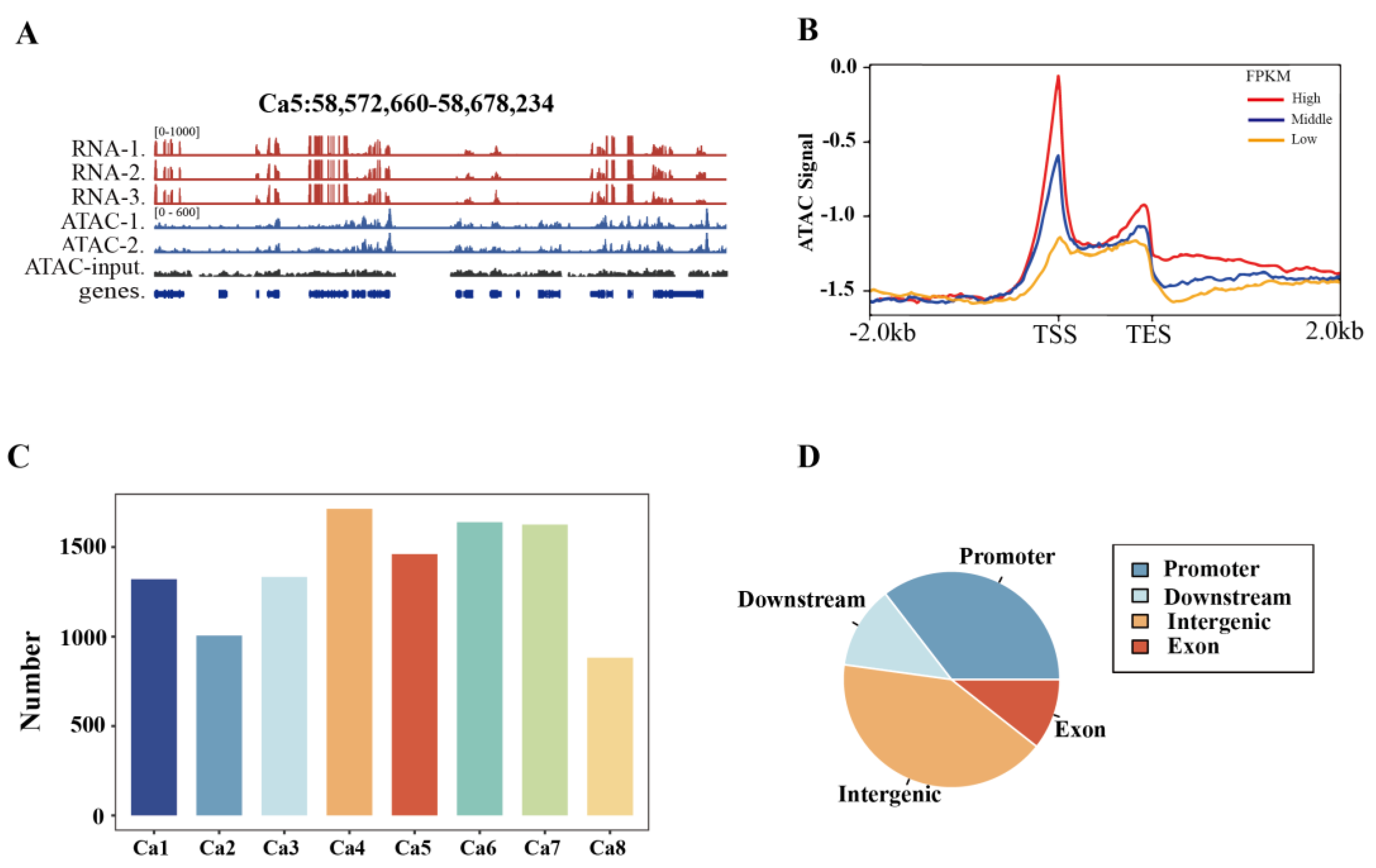 Preprints 148592 g001