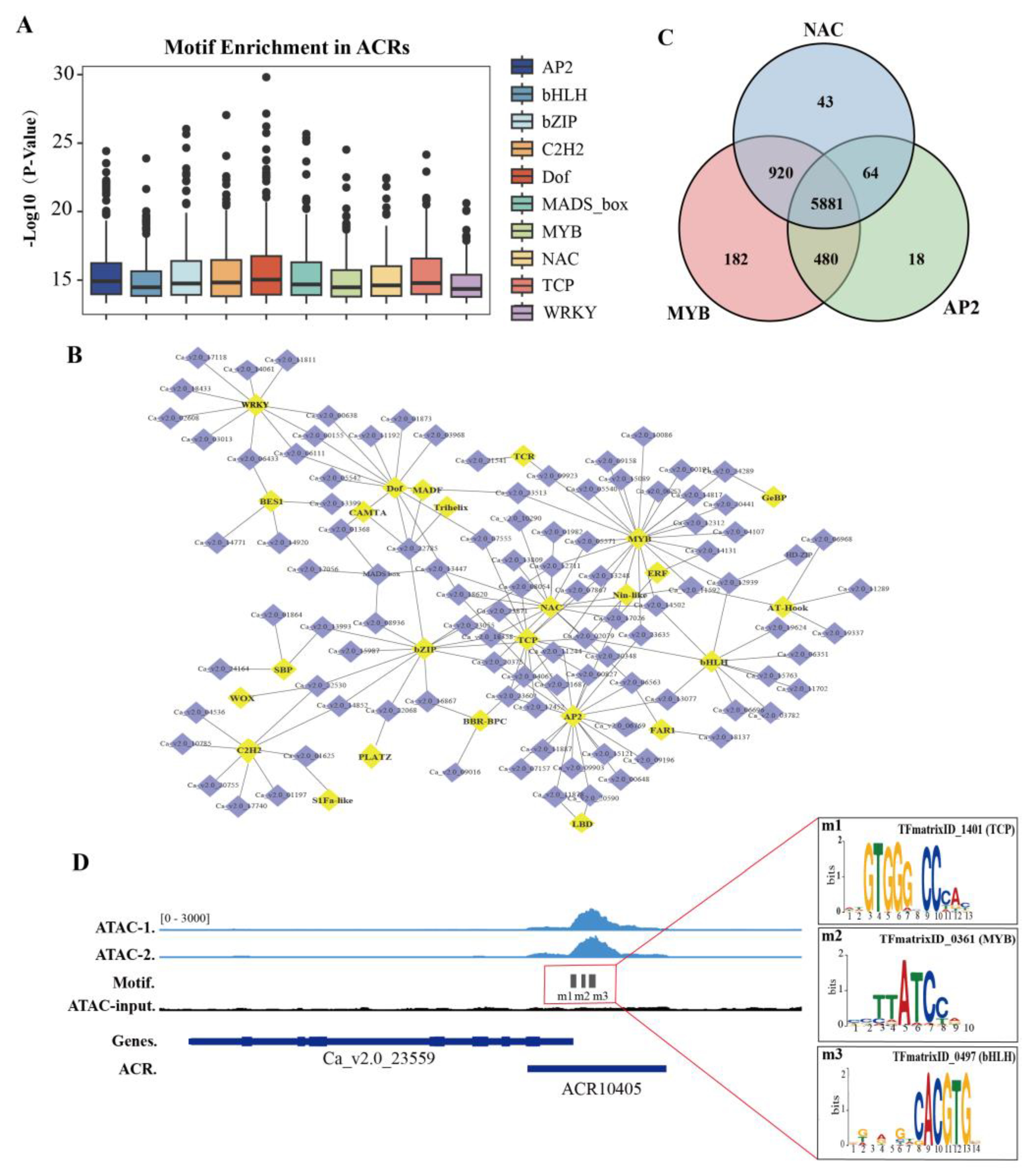 Preprints 148592 g002