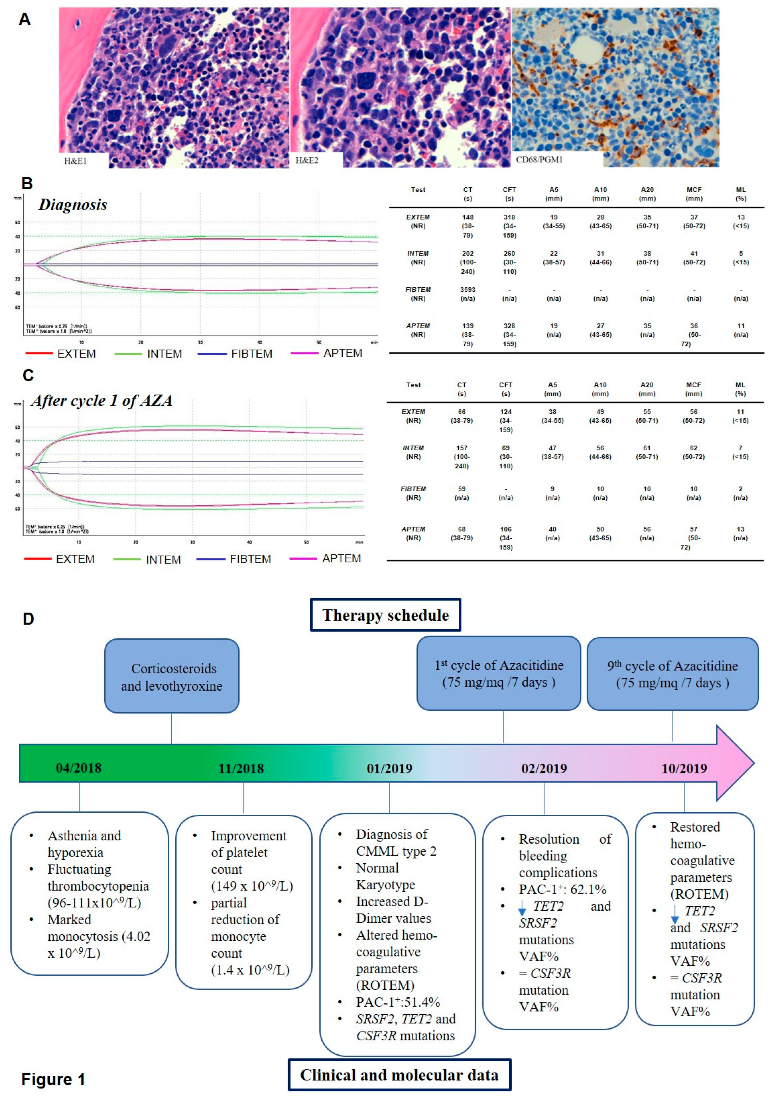 Preprints 85780 g001