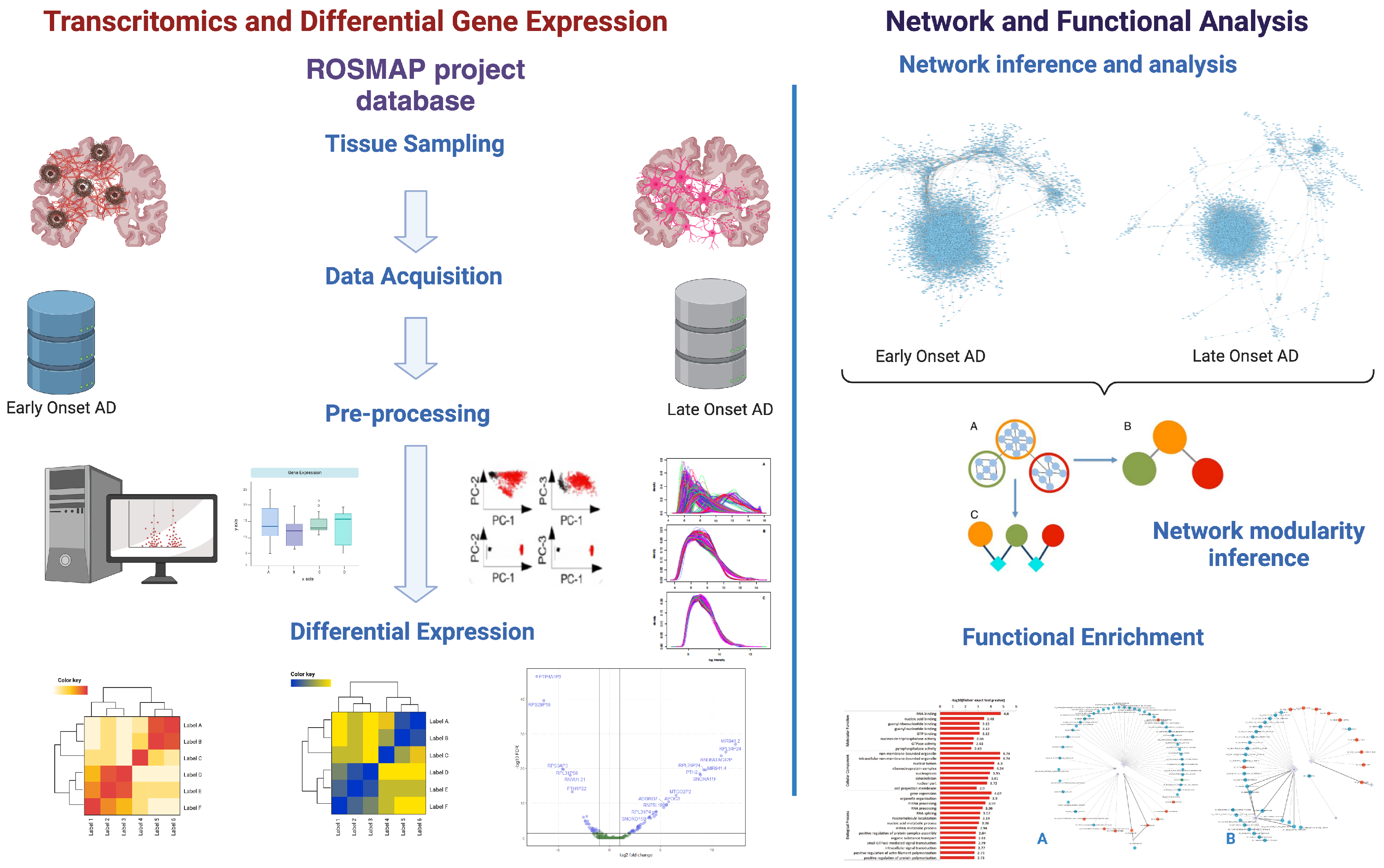 Preprints 143438 g001