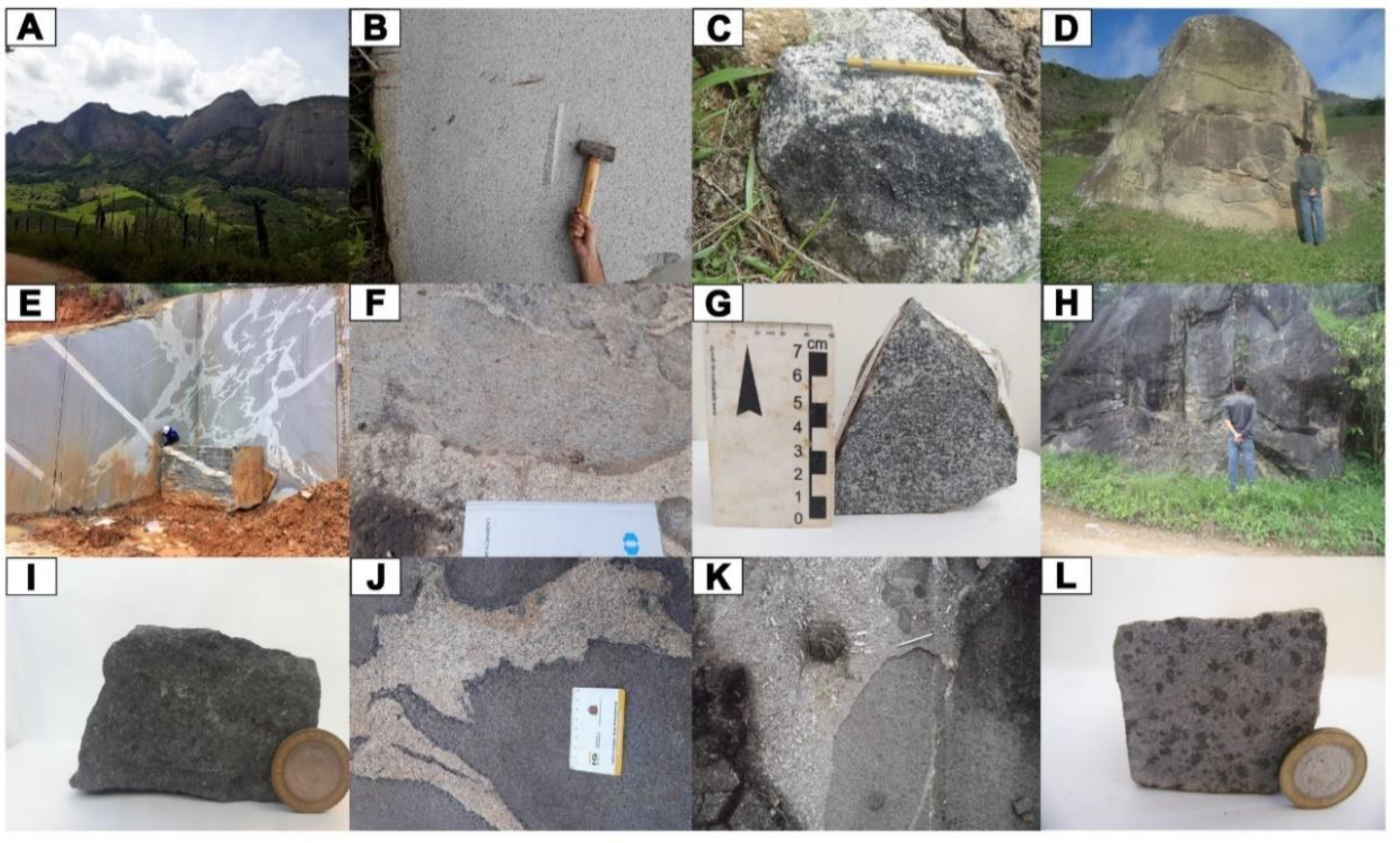 Preprints 138636 g004