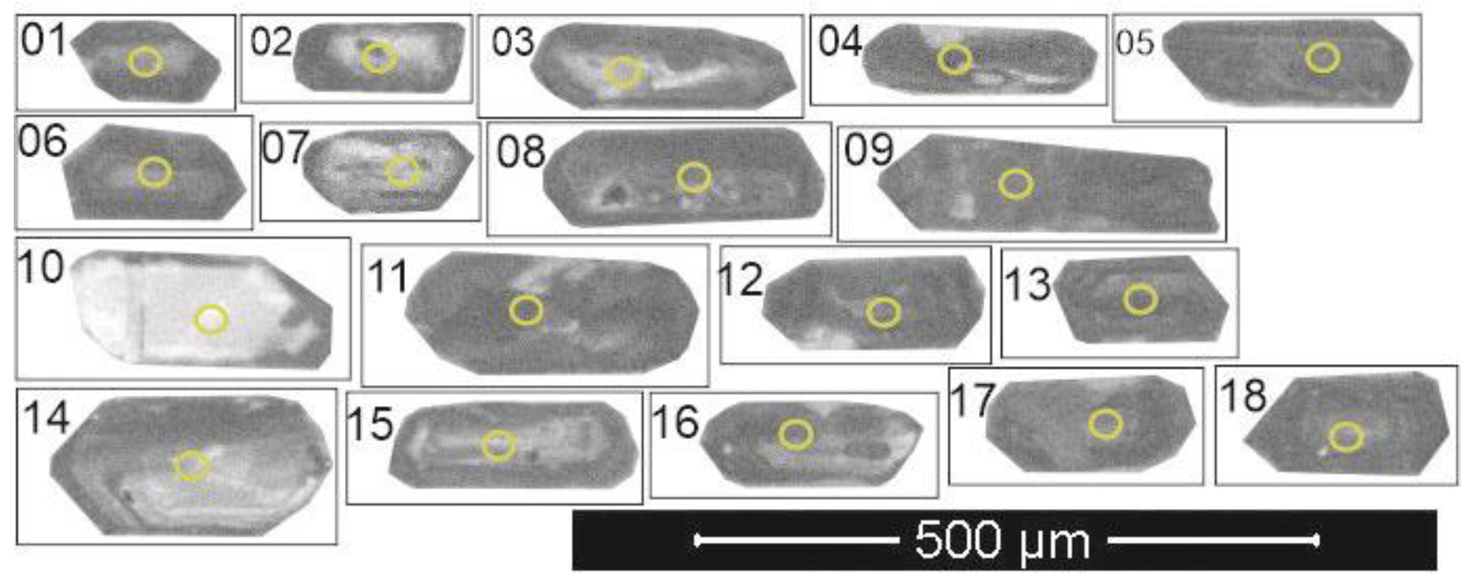 Preprints 138636 g013