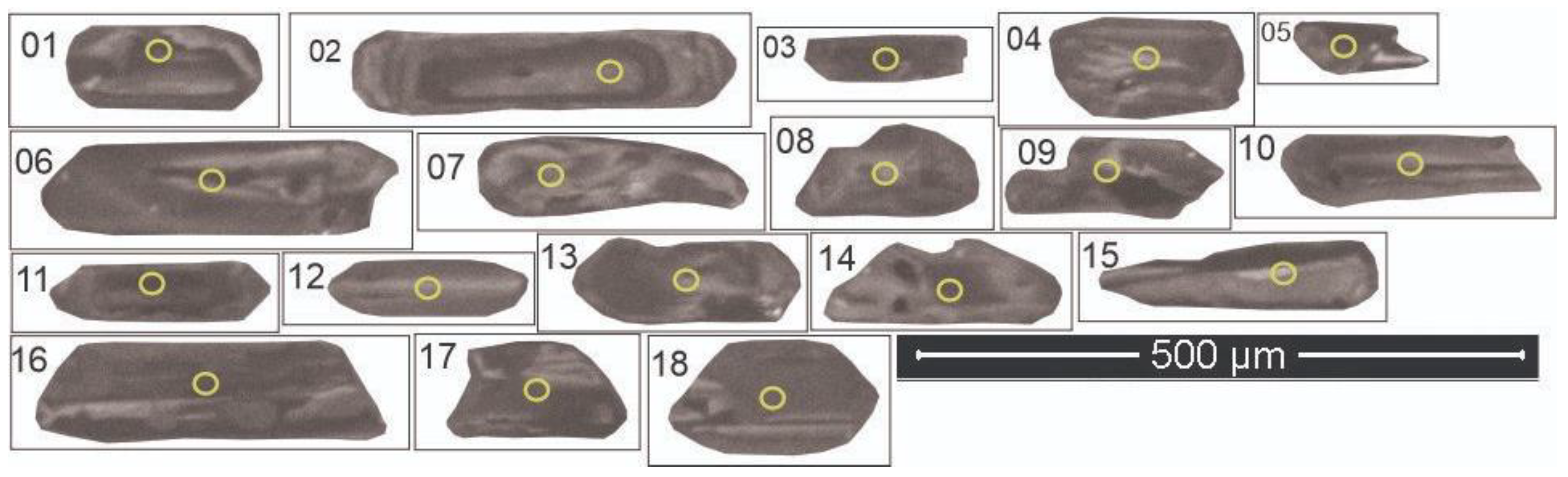 Preprints 138636 g015
