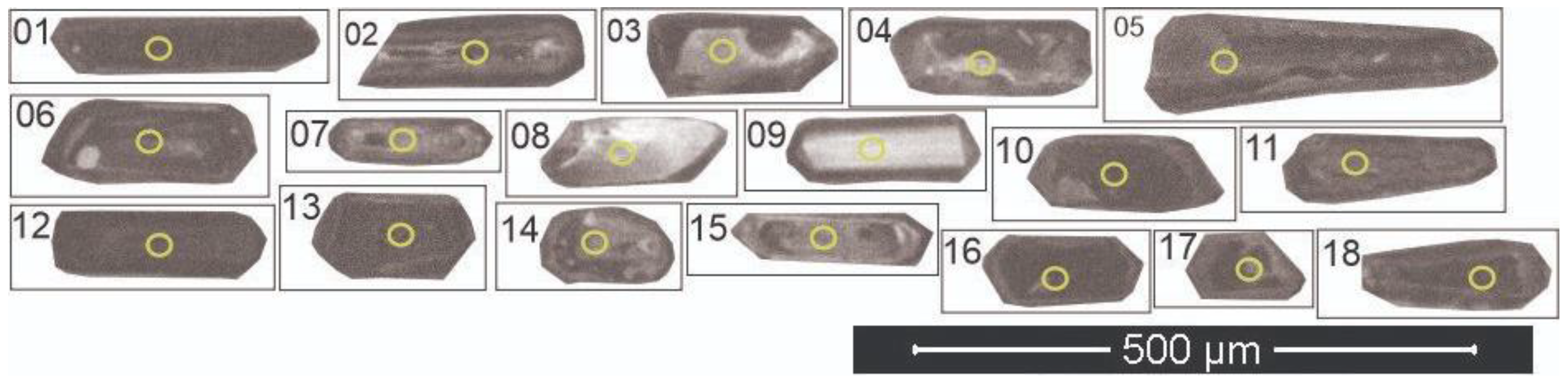 Preprints 138636 g017