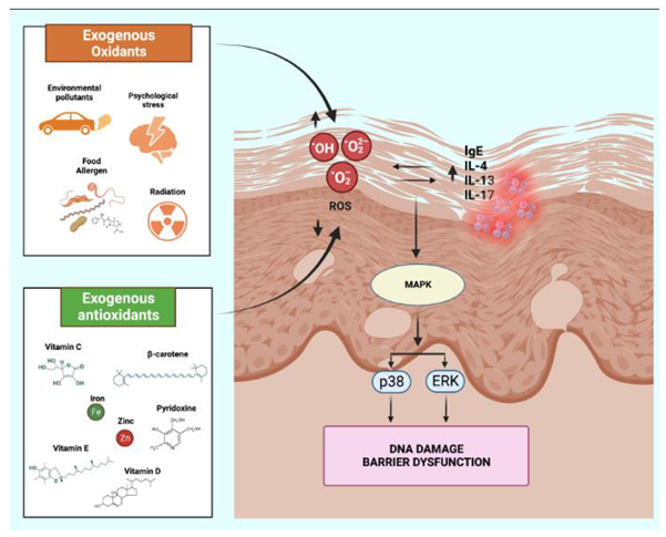 Preprints 78176 i001