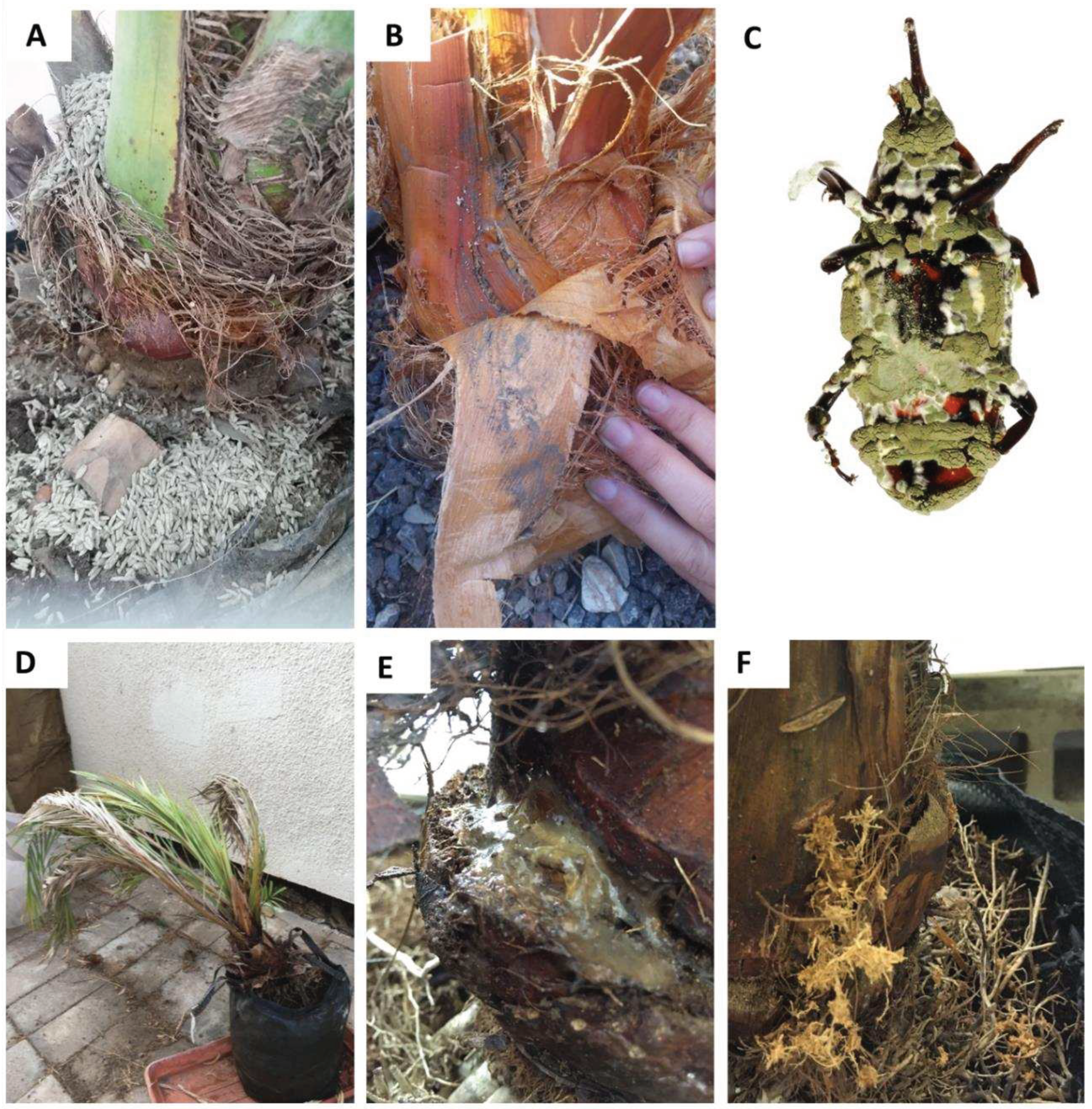 Preprints 90711 g003