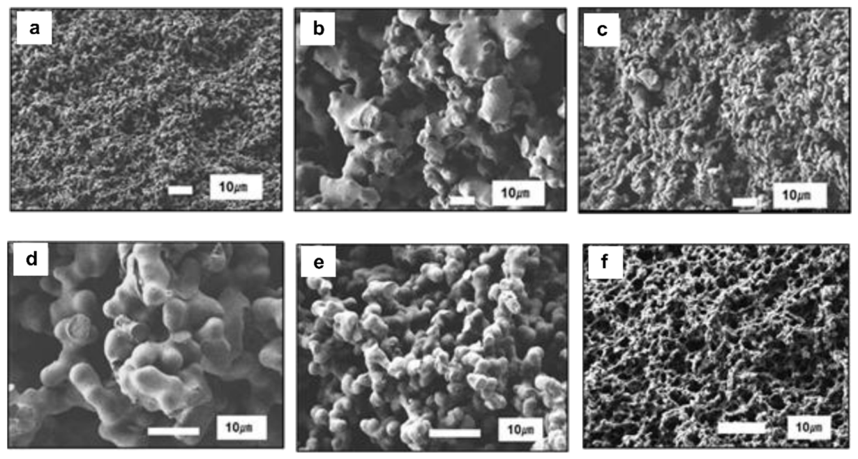 Preprints 220877 g004