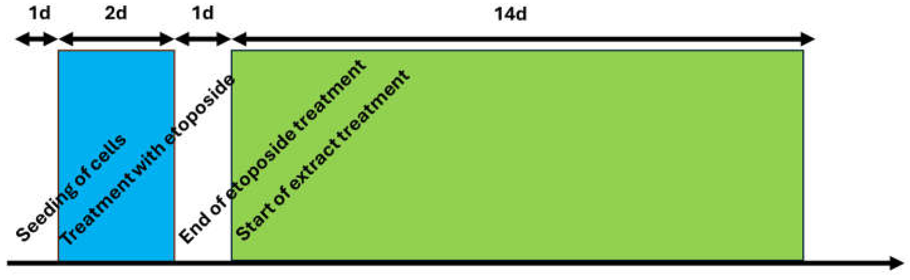 Preprints 114581 g004