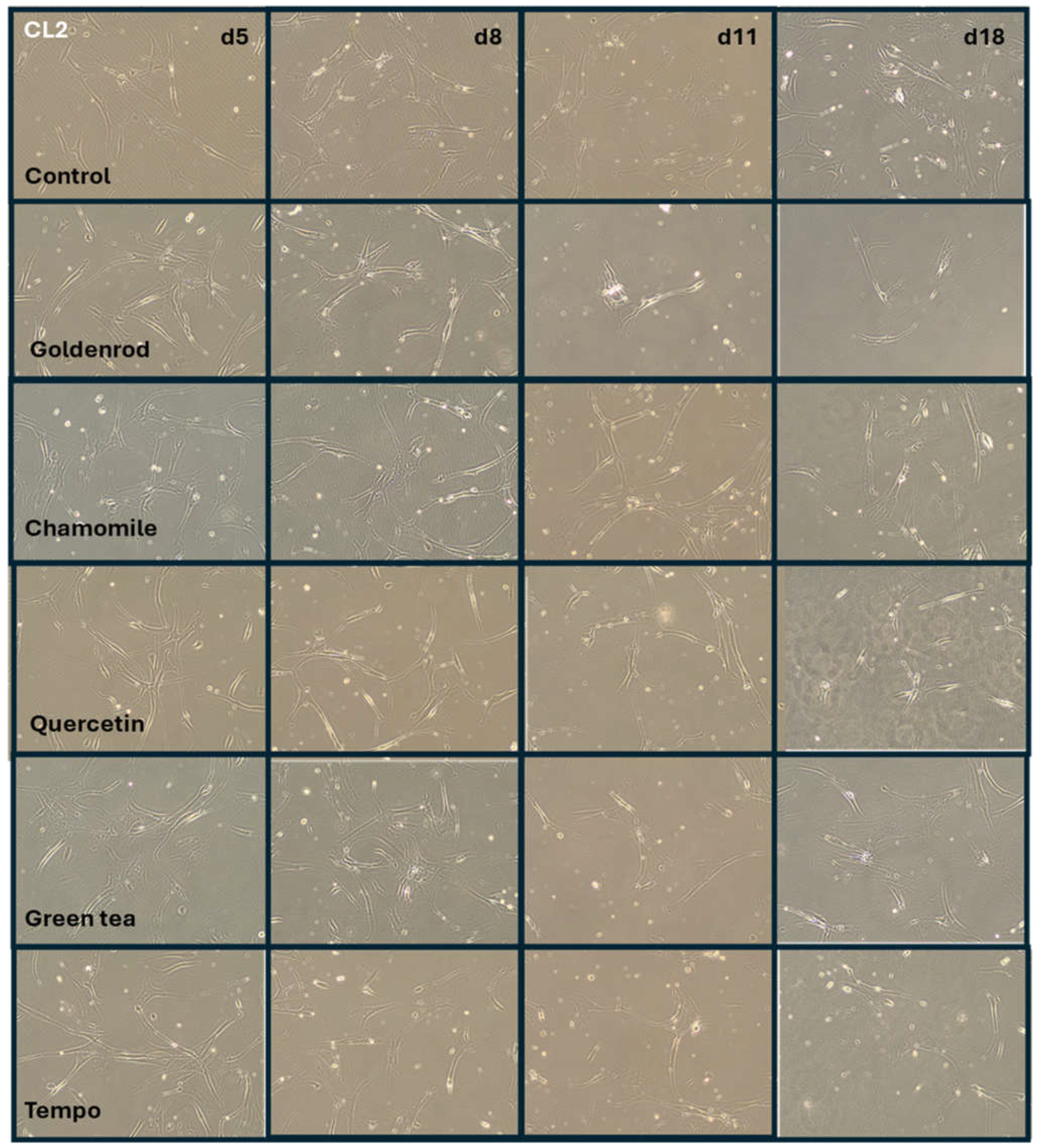 Preprints 114581 g008