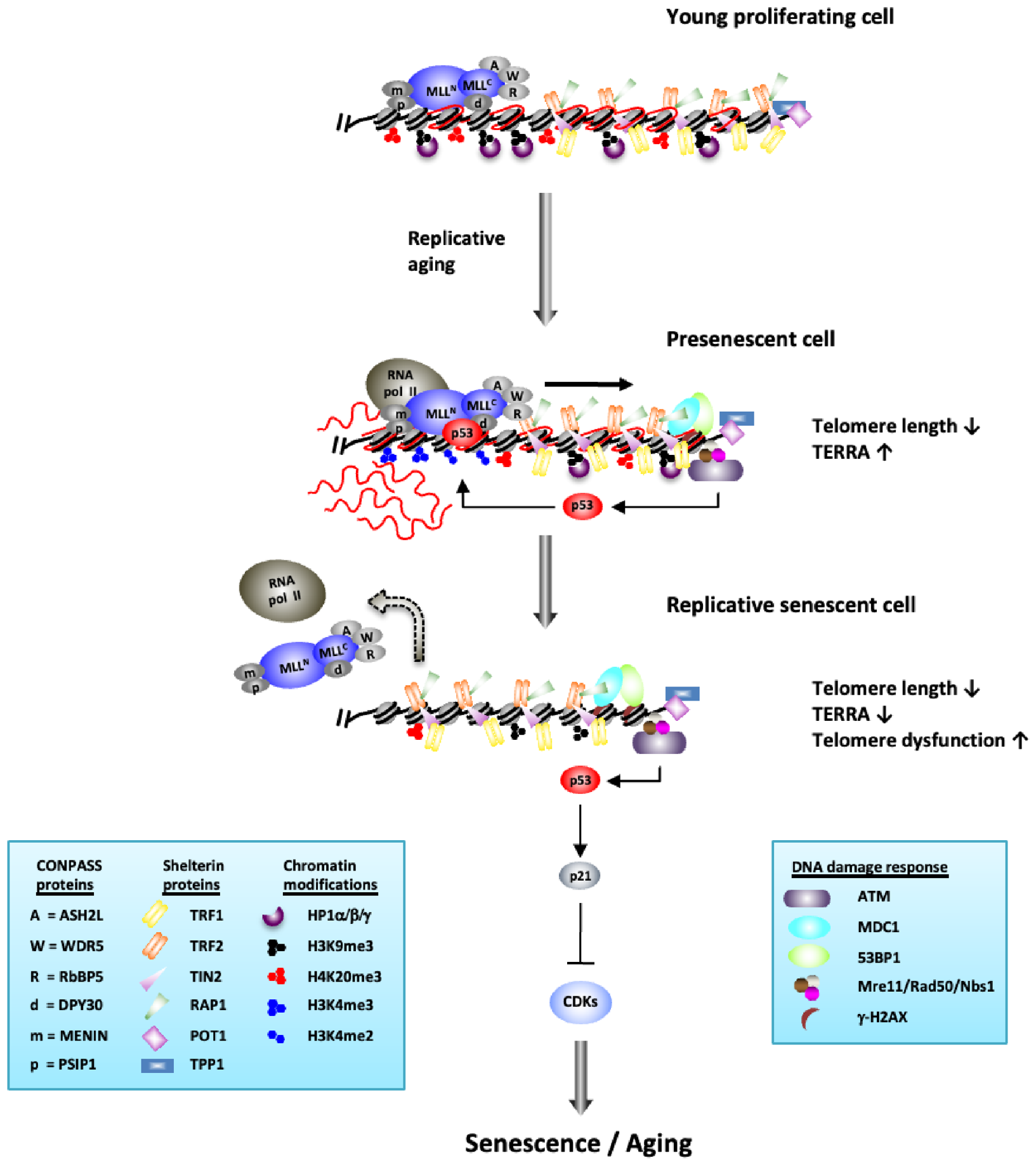 Preprints 223932 g001