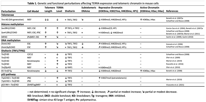 Preprints 223932 i001