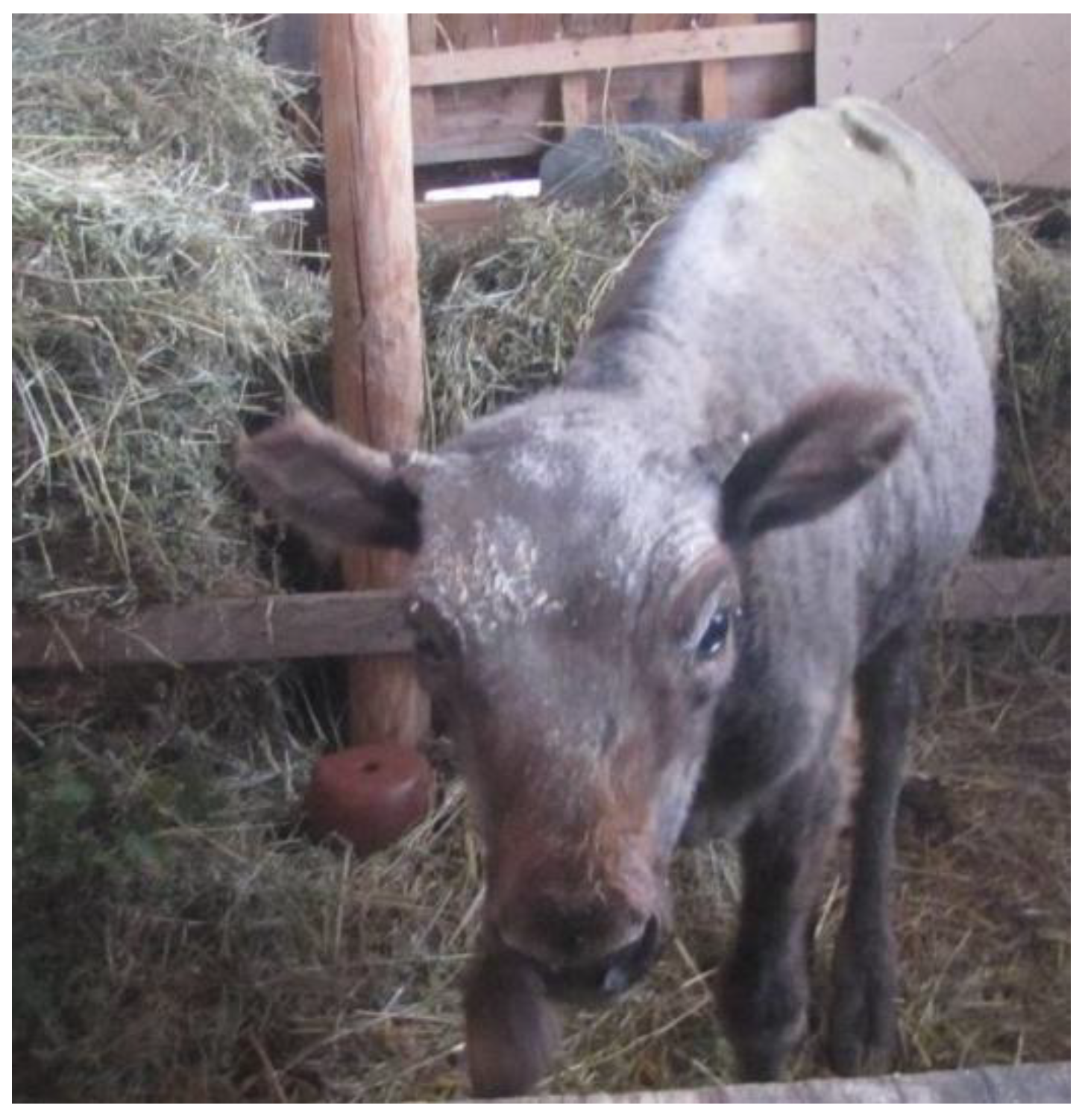 Preprints 173239 g001