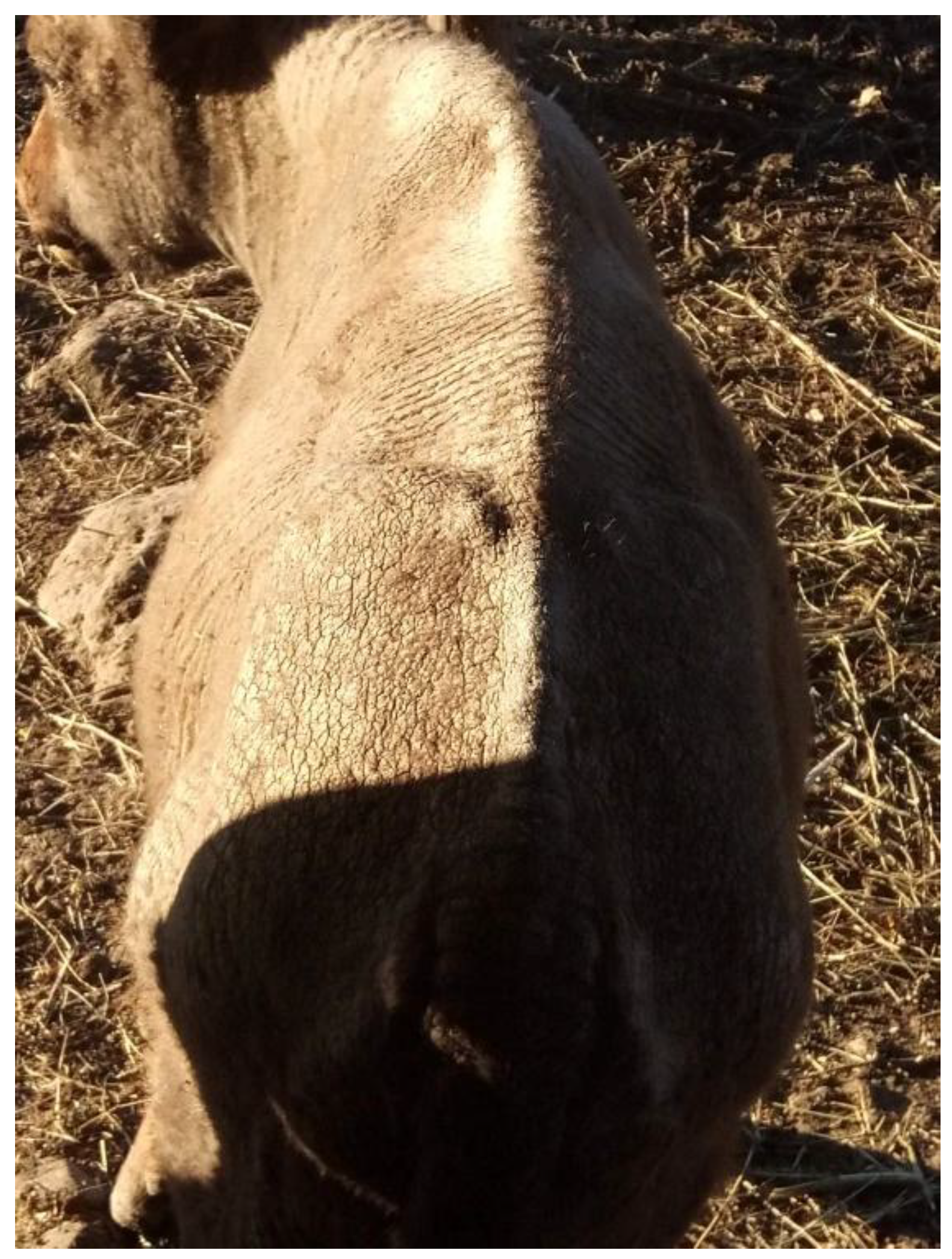 Preprints 173239 g002