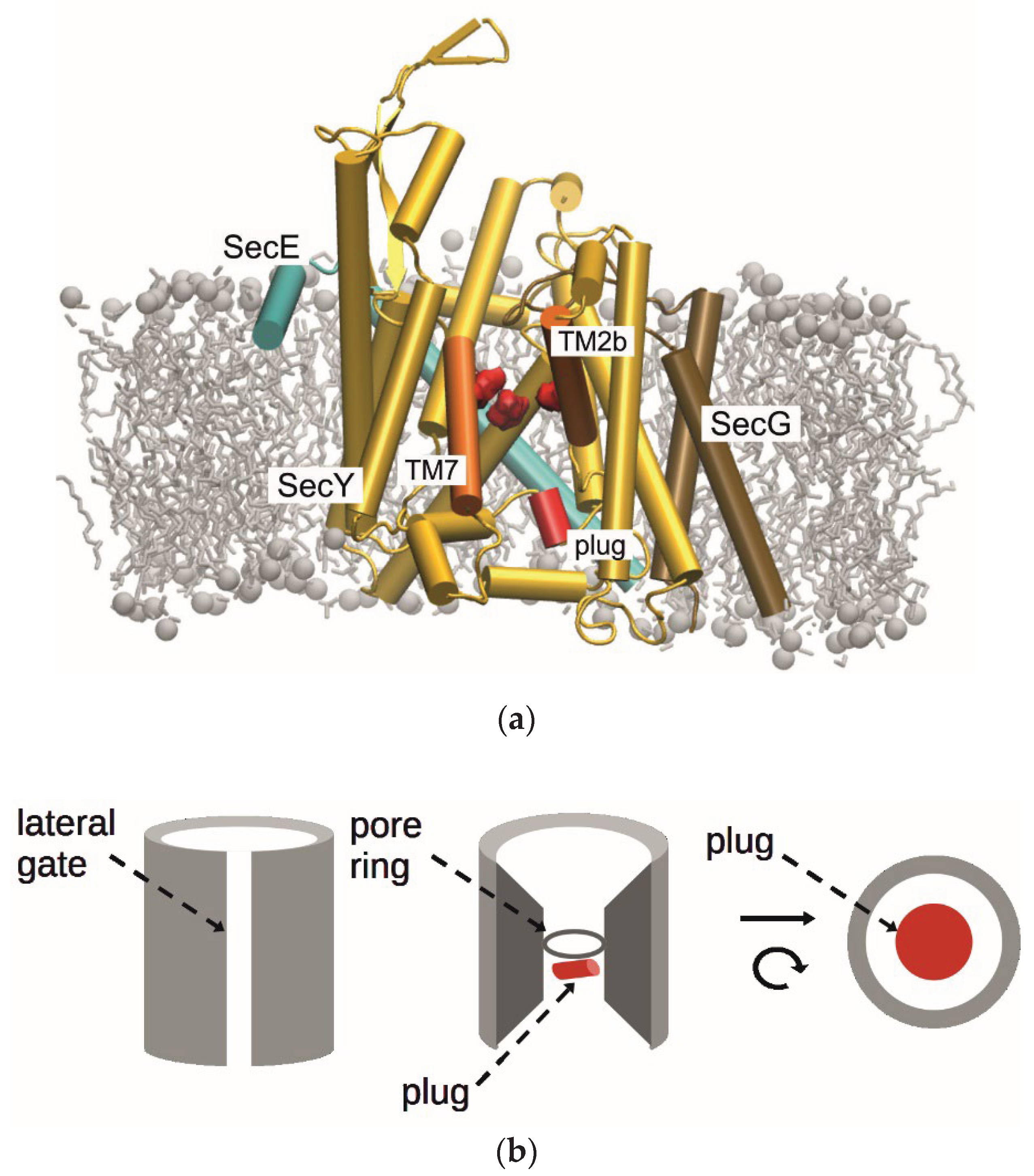 Preprints 169601 g001