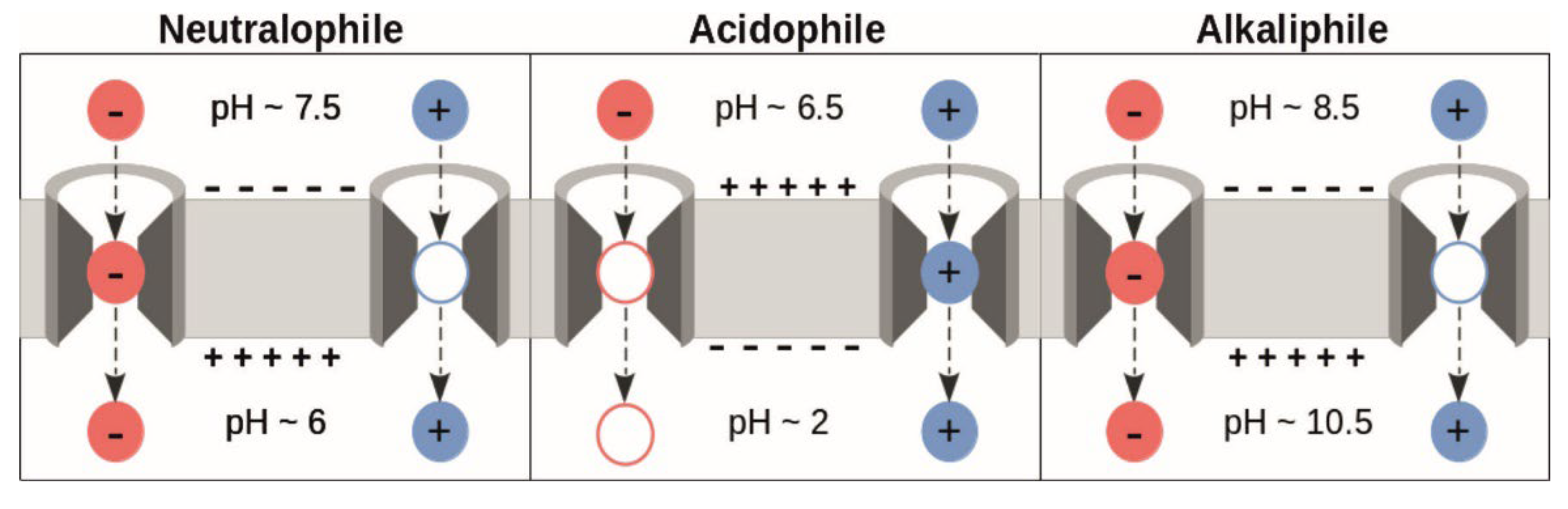 Preprints 169601 g002