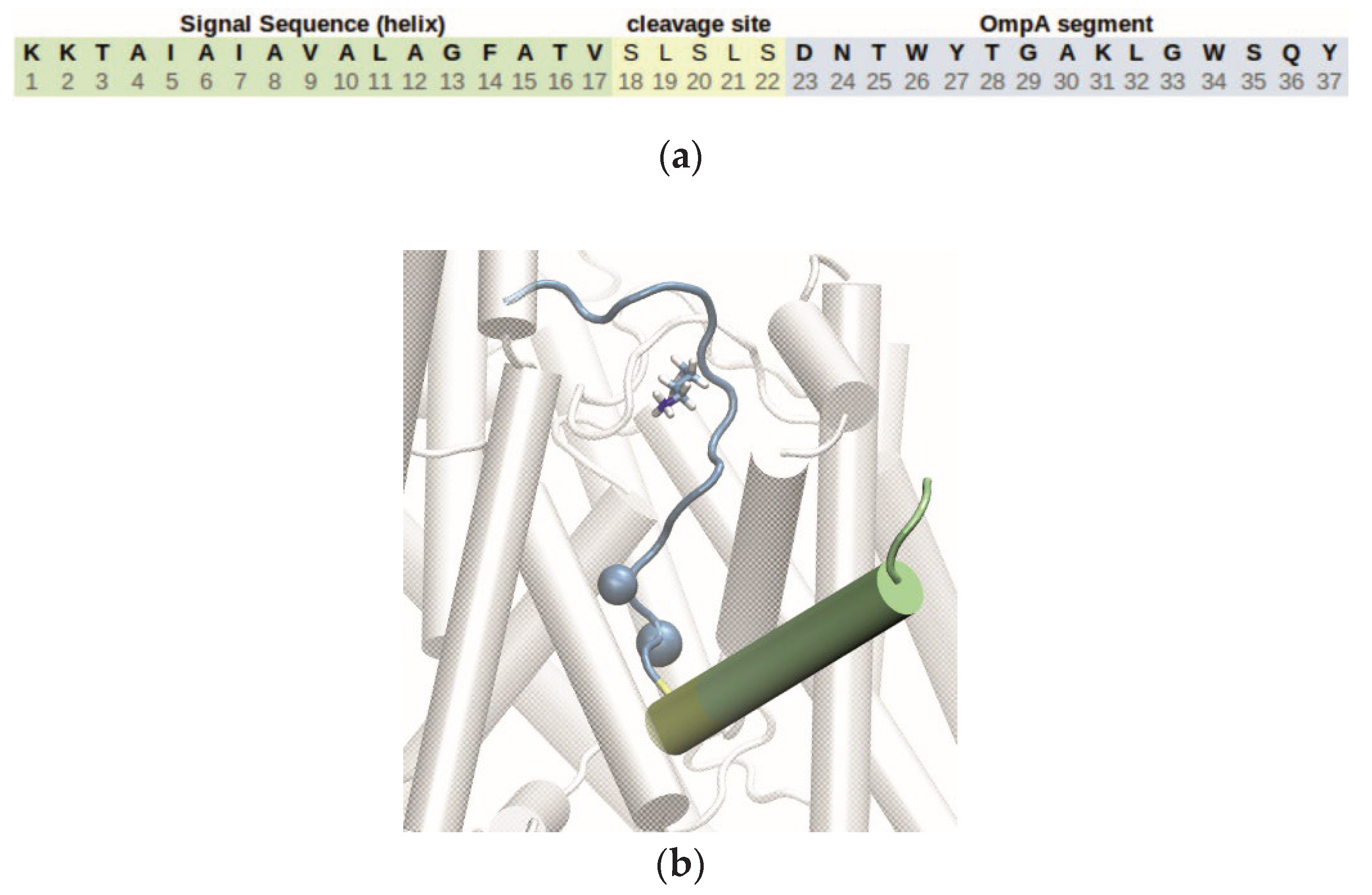 Preprints 169601 g004