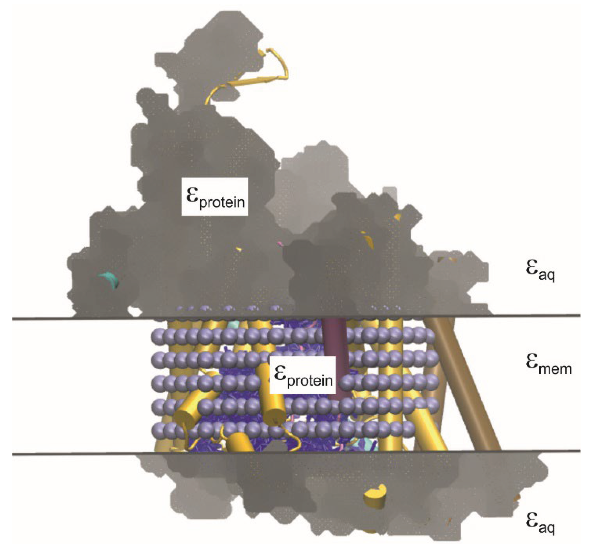 Preprints 169601 g006