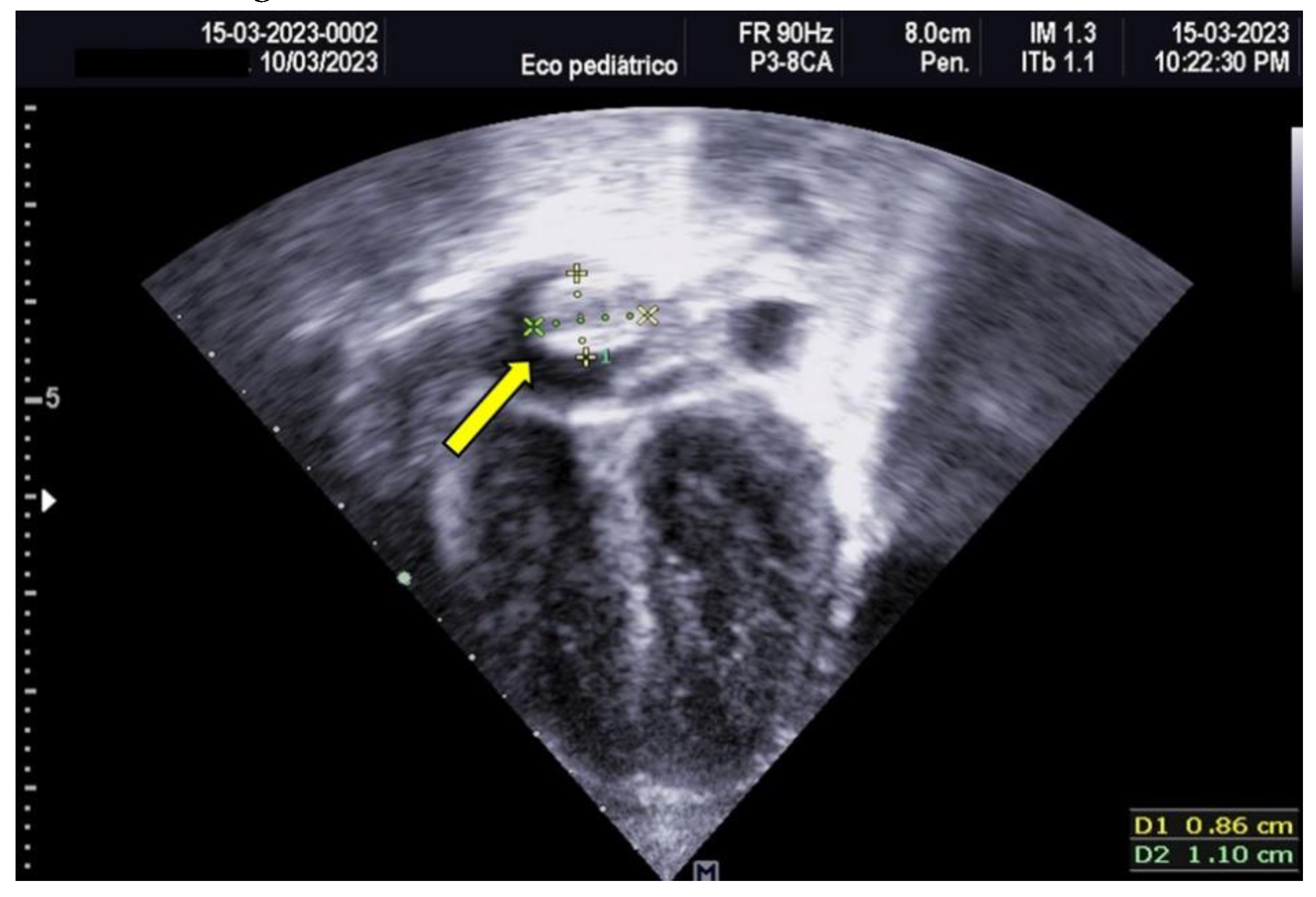 Preprints 142647 g001