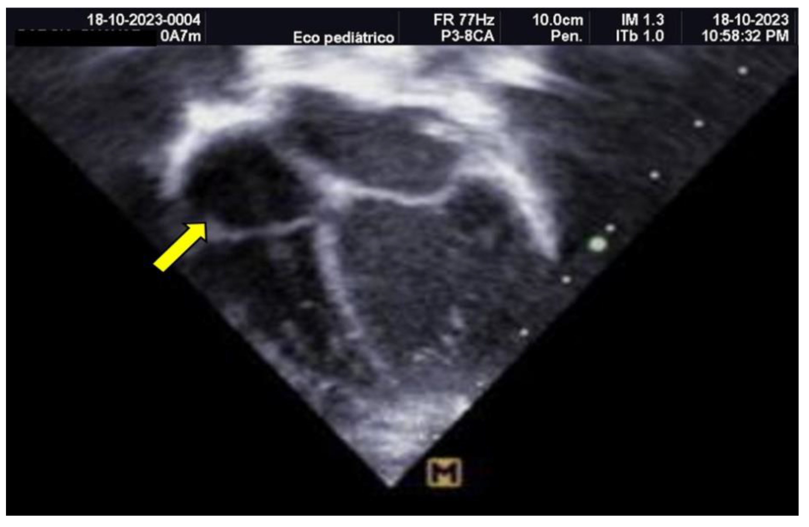Preprints 142647 g002