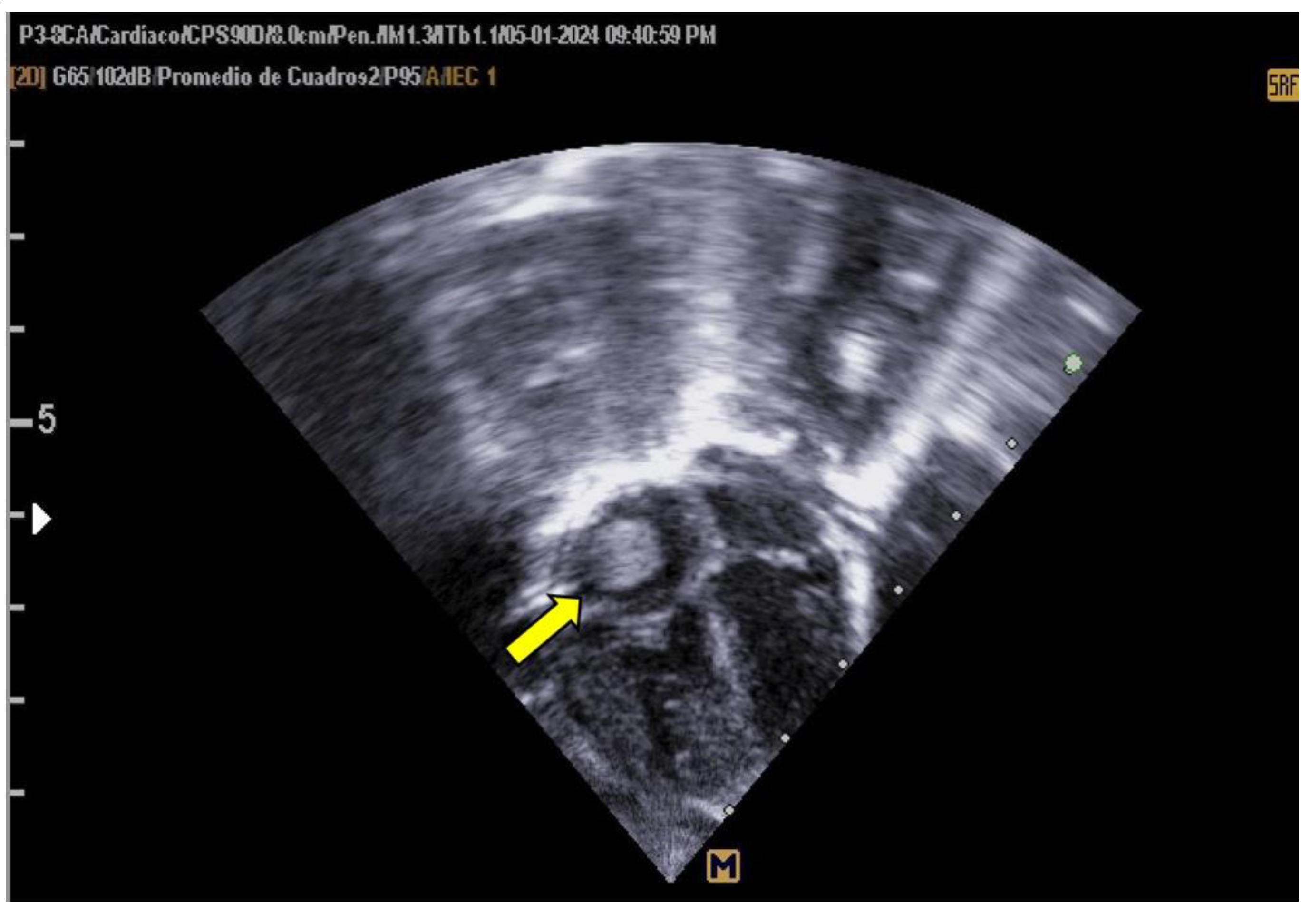 Preprints 142647 g003