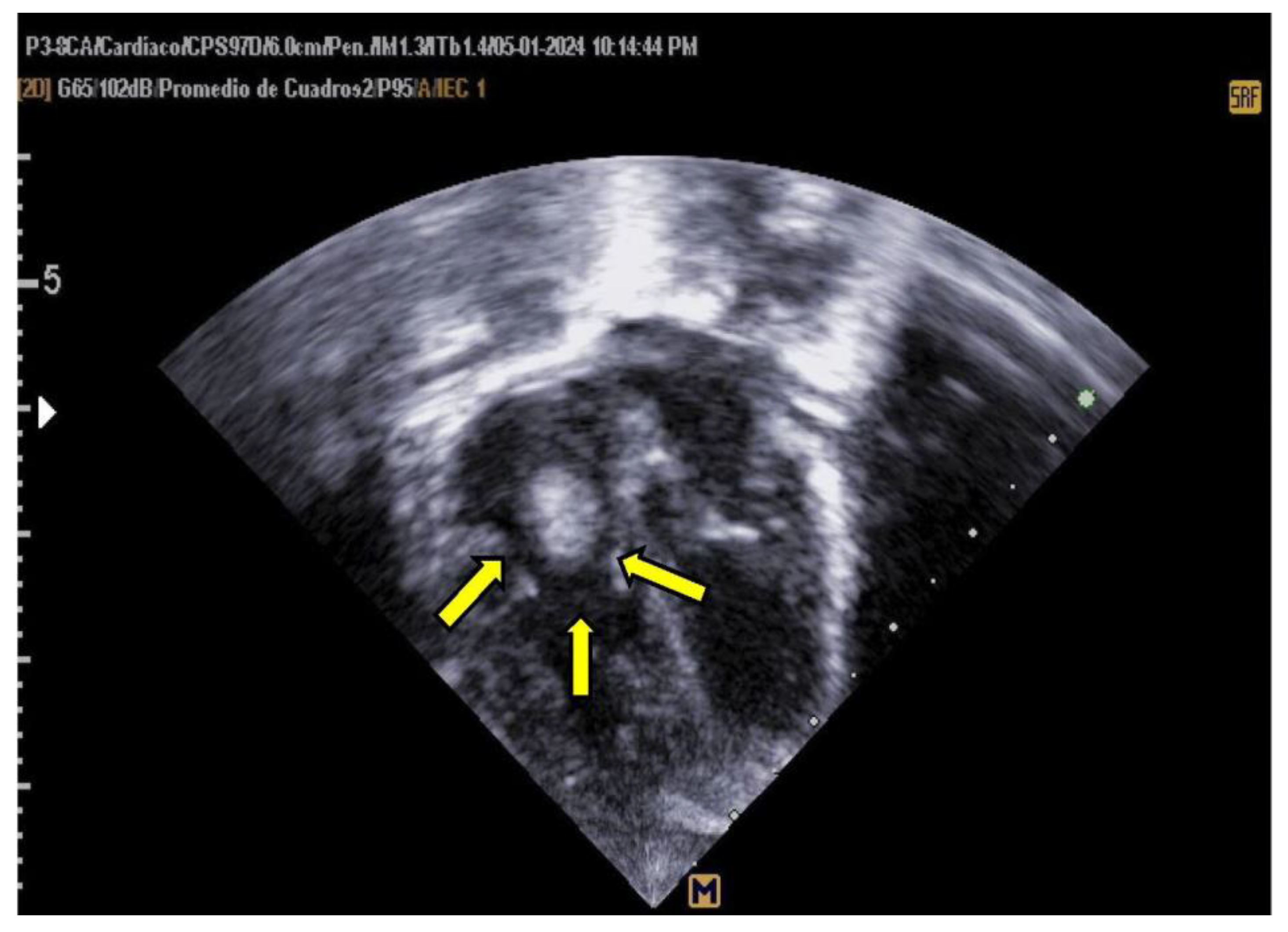 Preprints 142647 g004