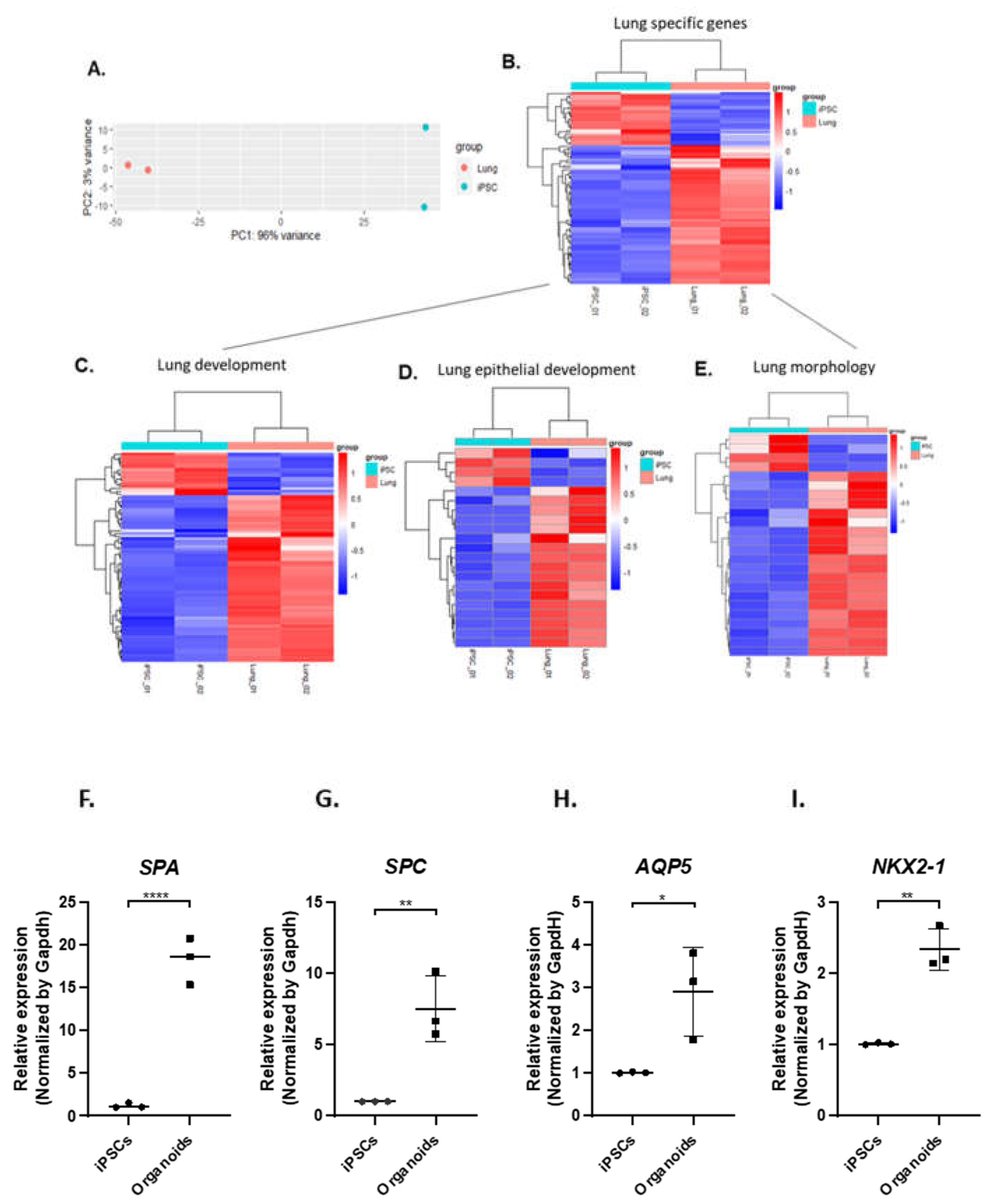 Preprints 71039 g003