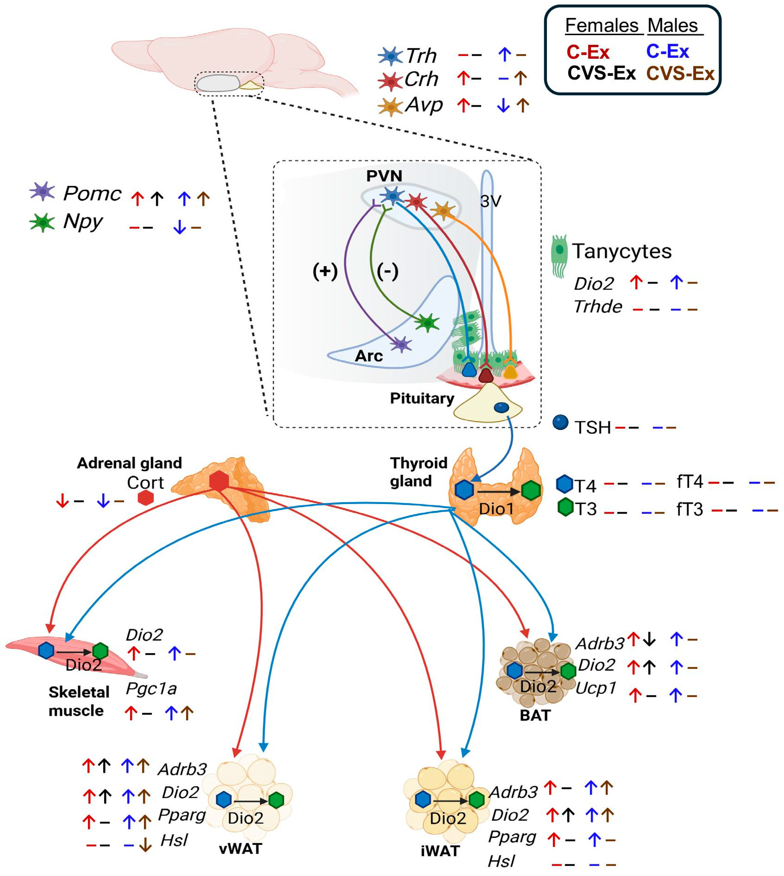 Preprints 168619 g011