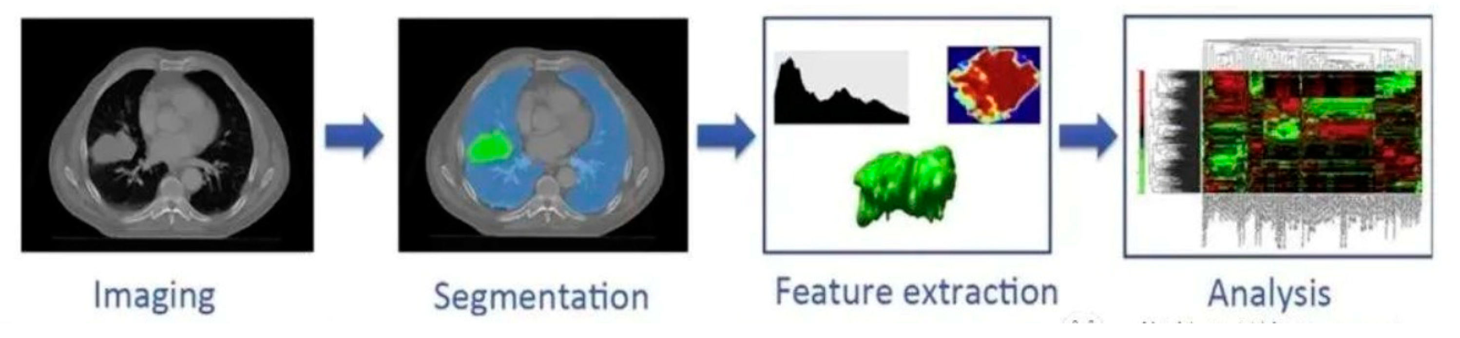 Preprints 115272 g001